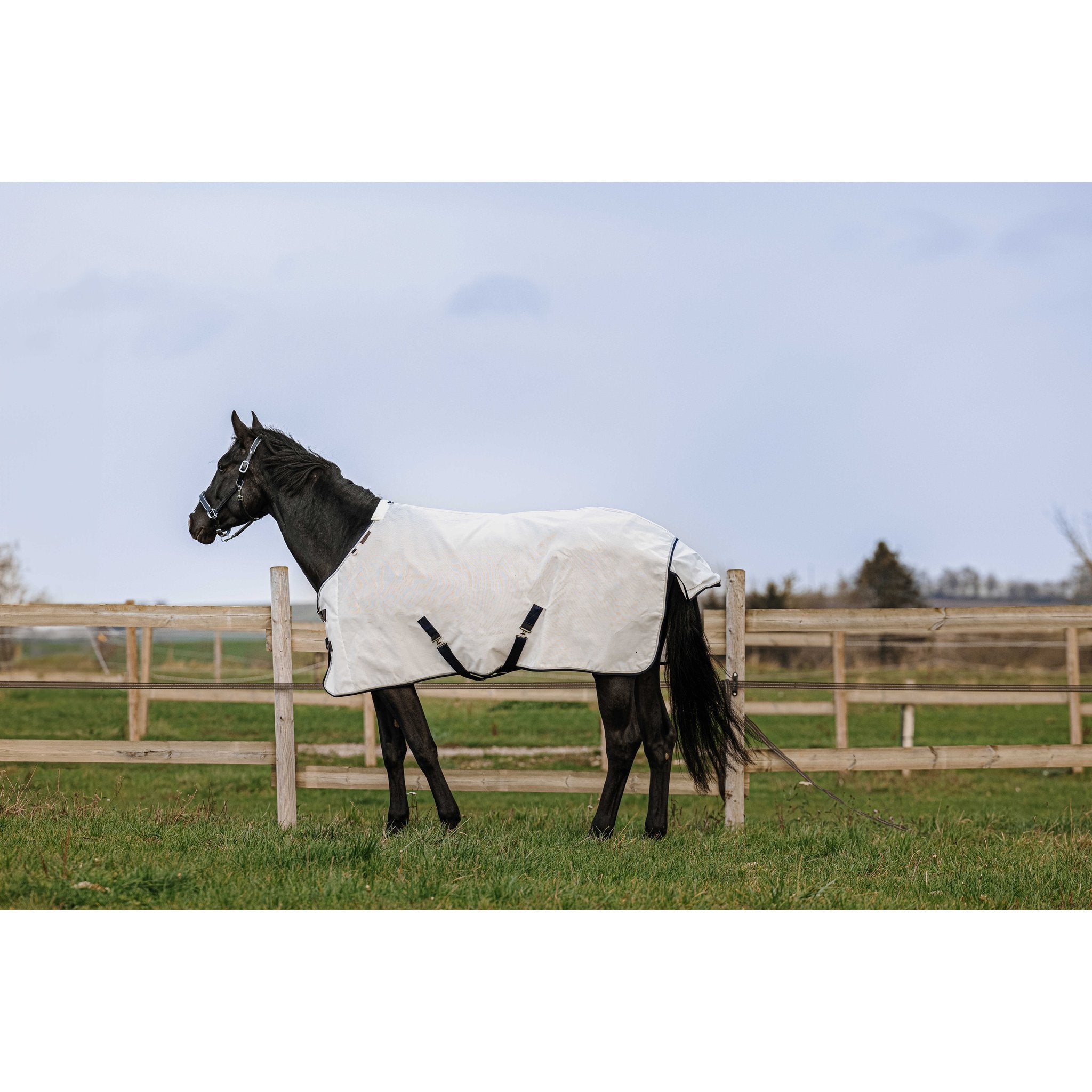 Equithème PVC Anti UV-täcke