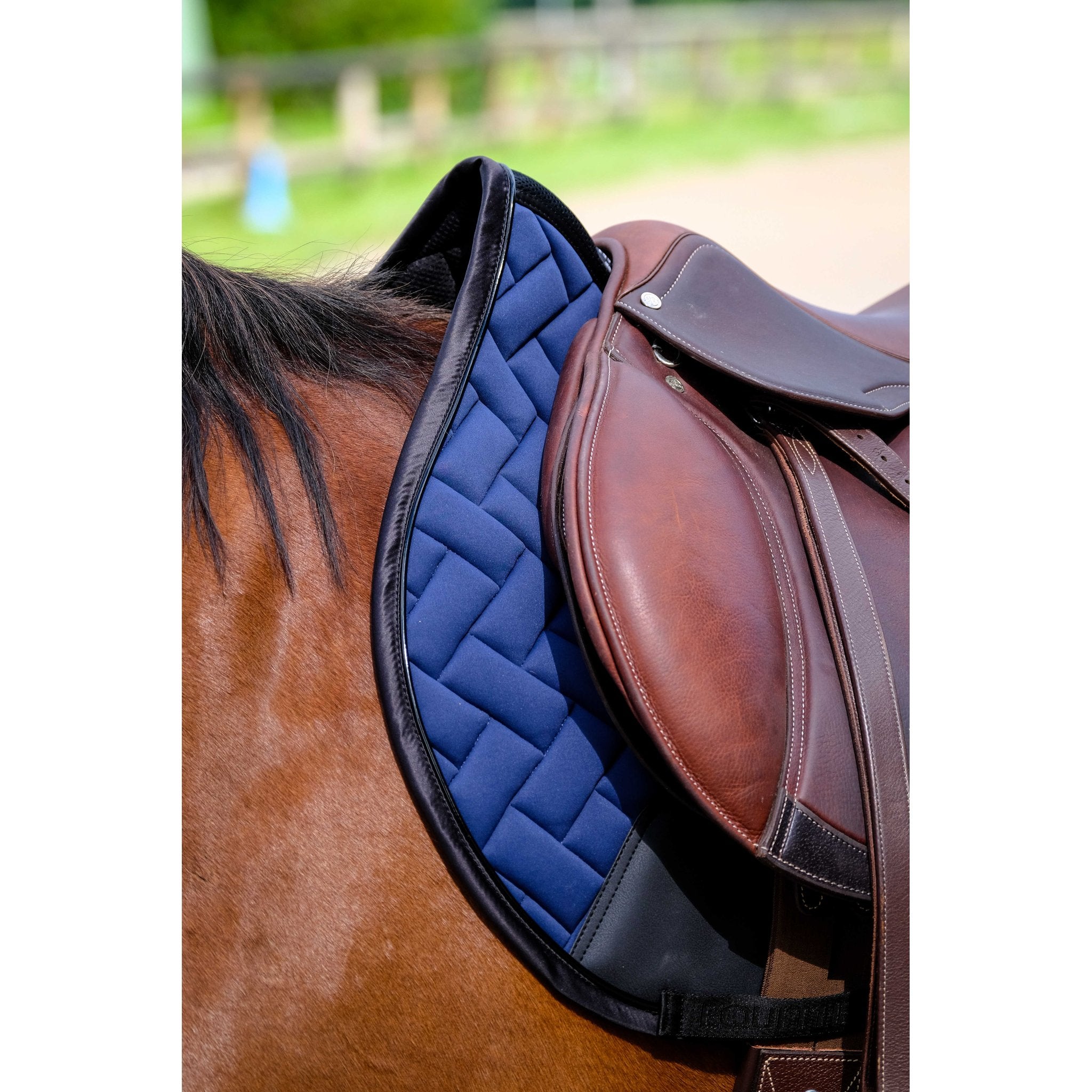 Equithème Impulsion Schabrak