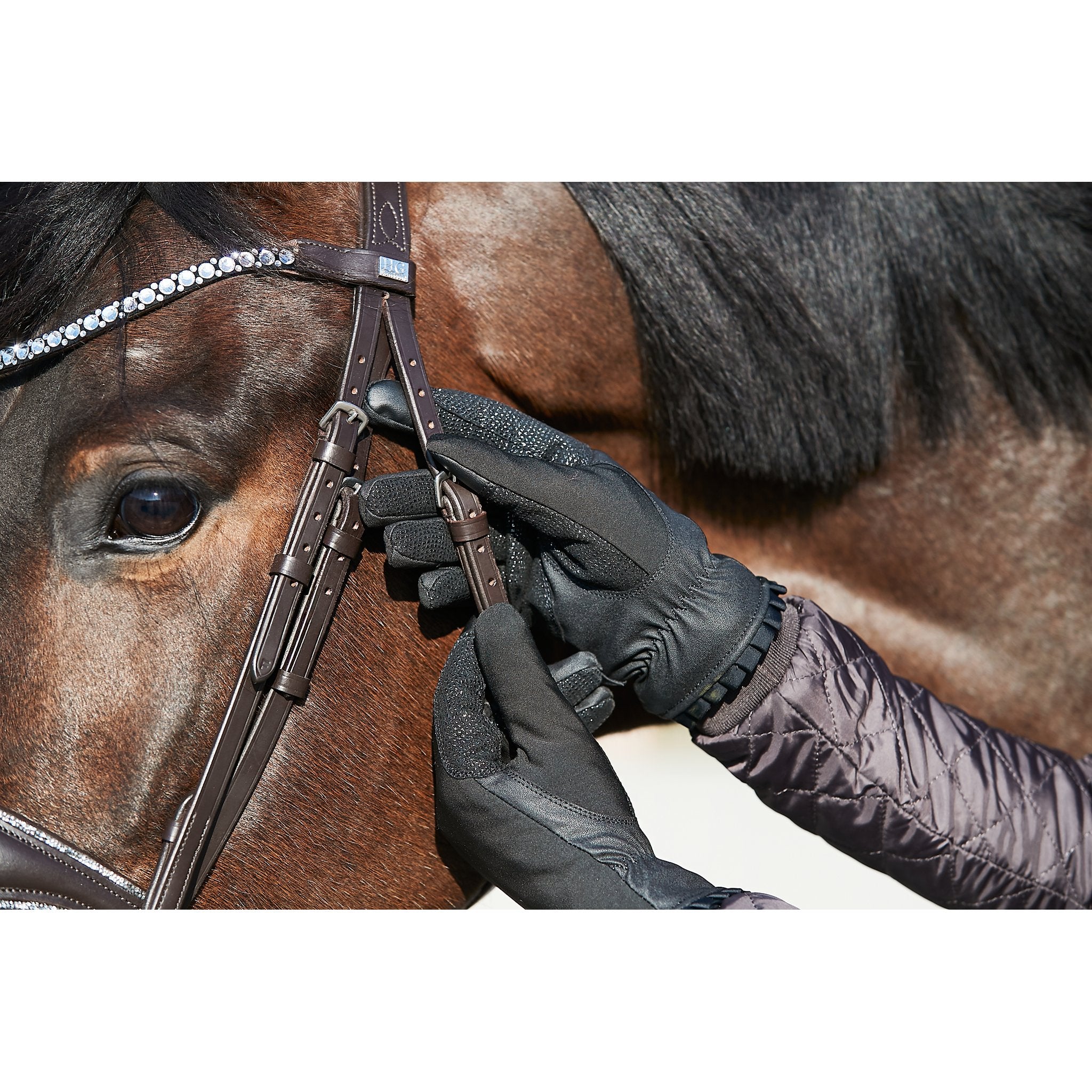 Equipage Lucy ridhandskar