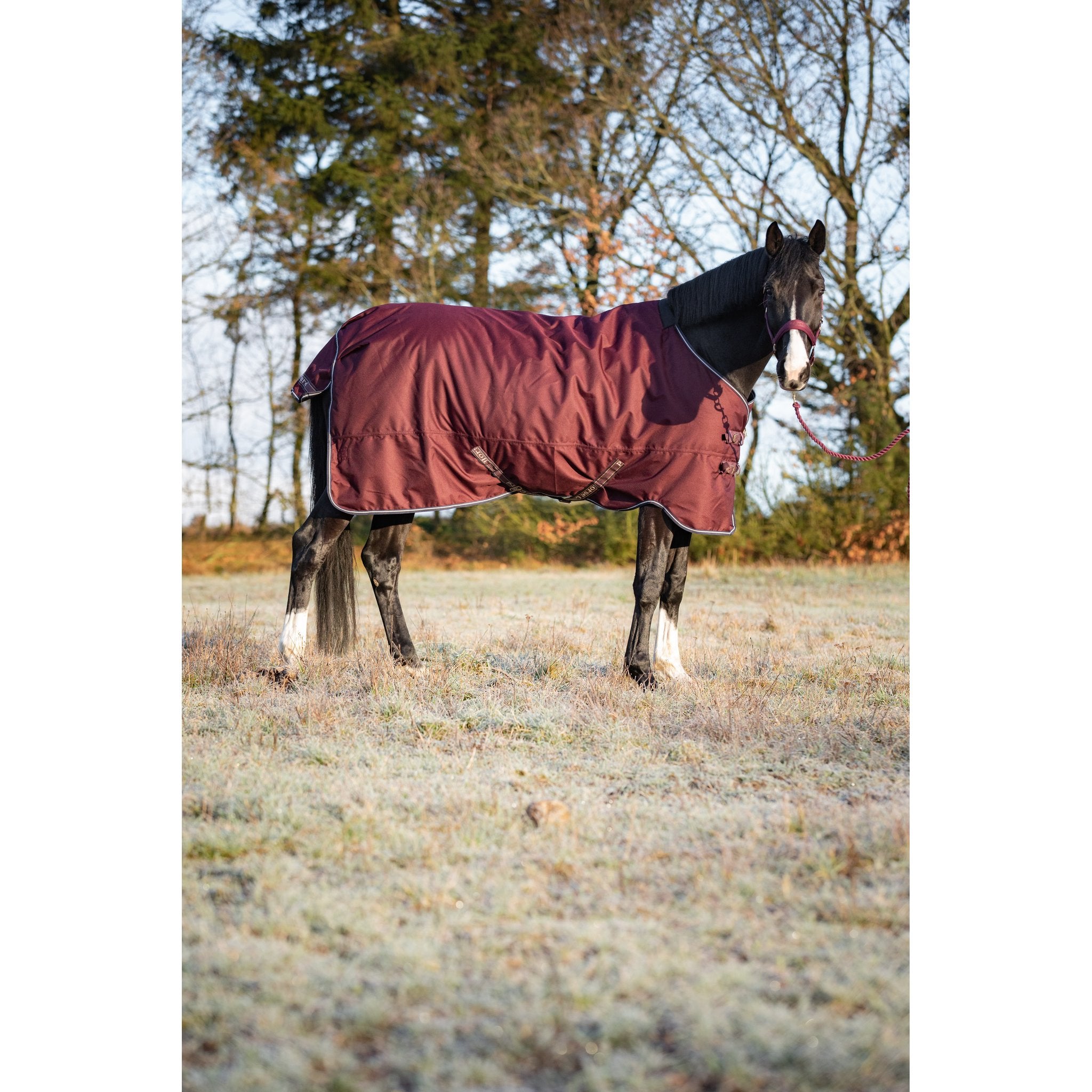 HorseGuard Landon 1200D Turnout täcke 200g