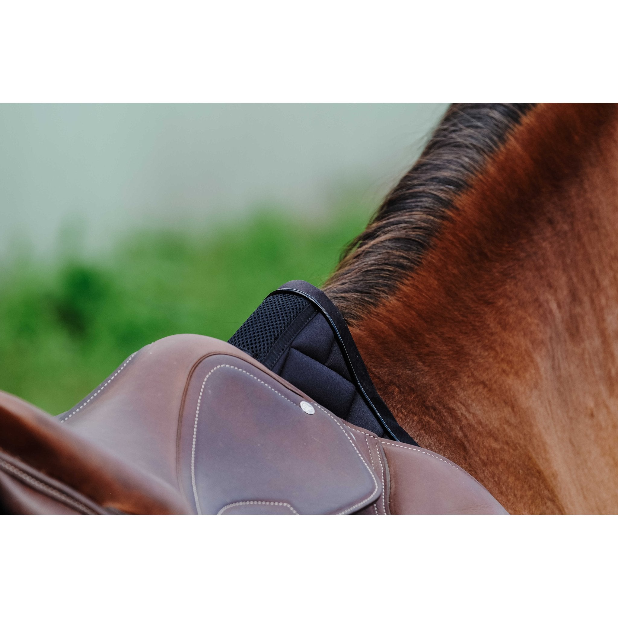 Equithème Impulsion Schabrak