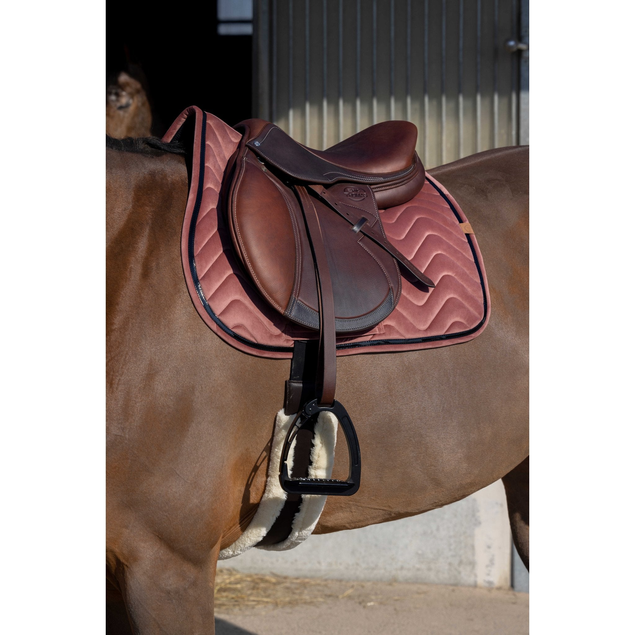 Equithème Glossy Schabrak