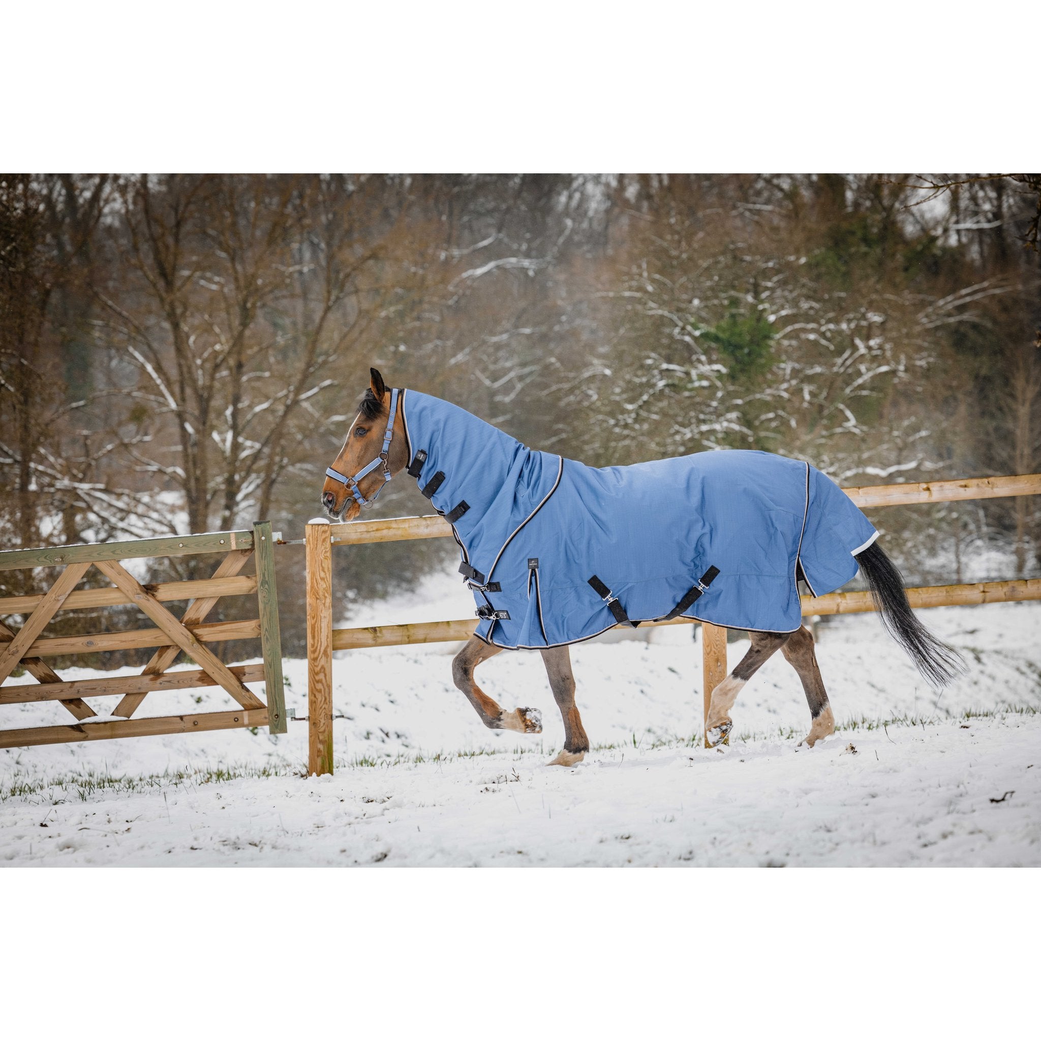 Equitheme Tyrex Aisance halstäcke 1200D