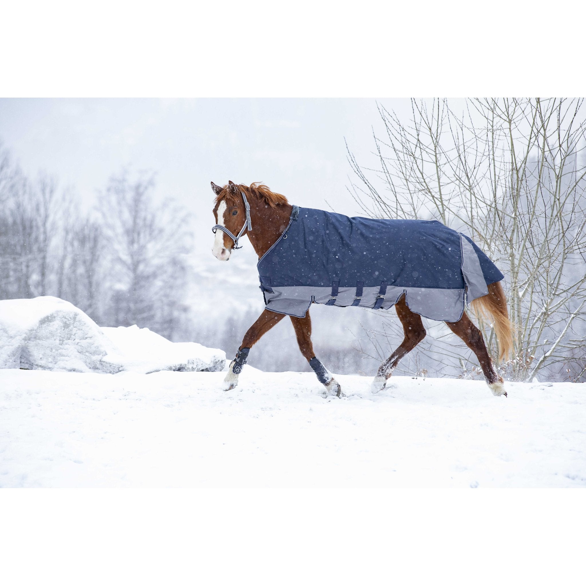 Equithème TYREX 600D Turnout täcke med magskydd 300 g