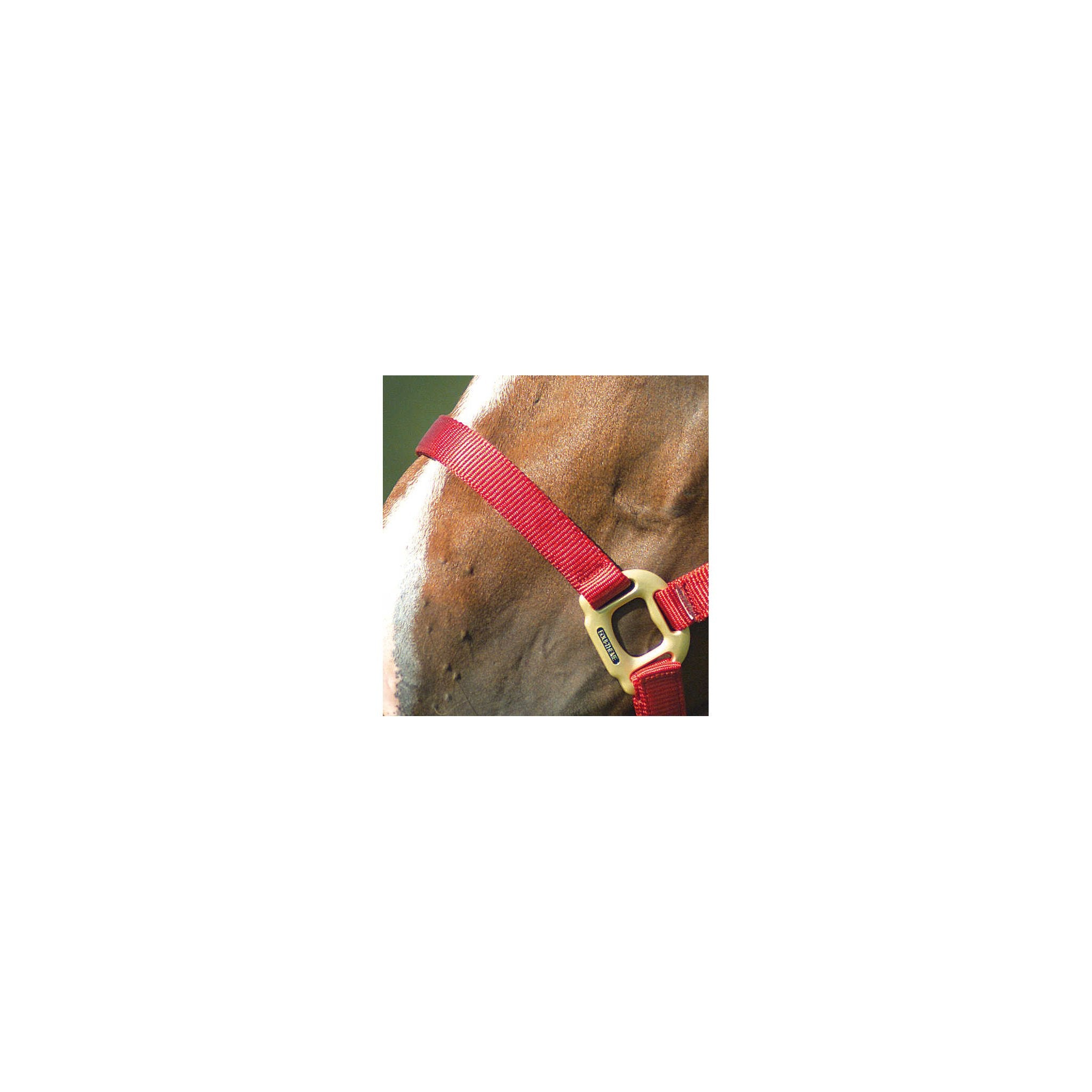 Equithème Nylon Grimma