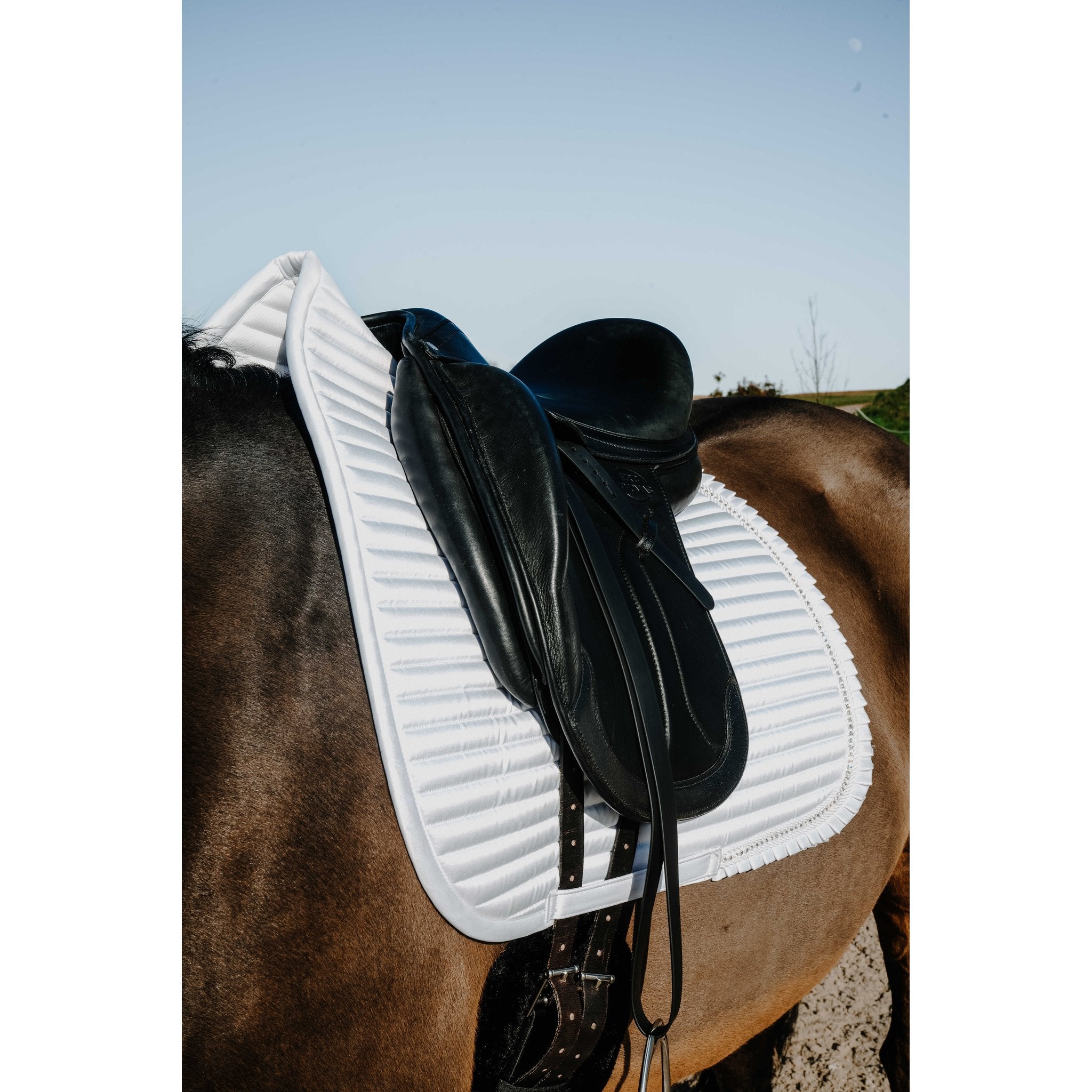 Equitheme Glam Dressyrschabrak