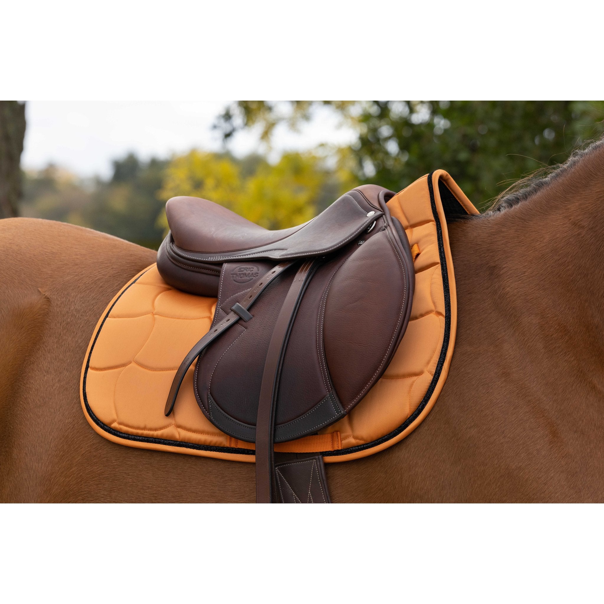 Equithème Satin Schabrak