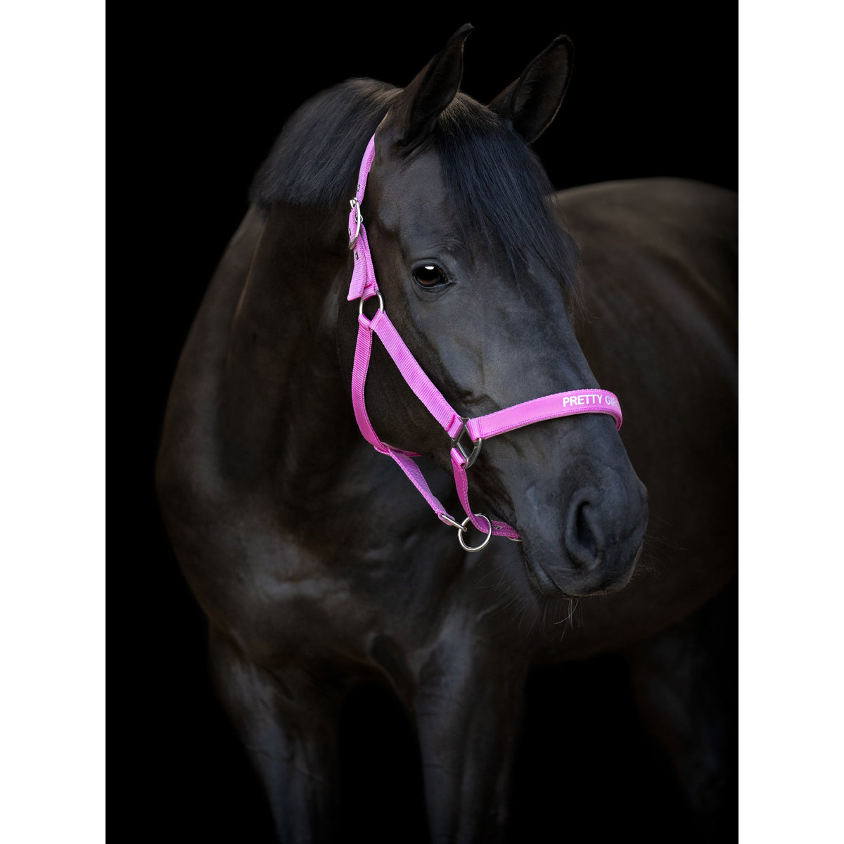 HorseGuard Malva grimma