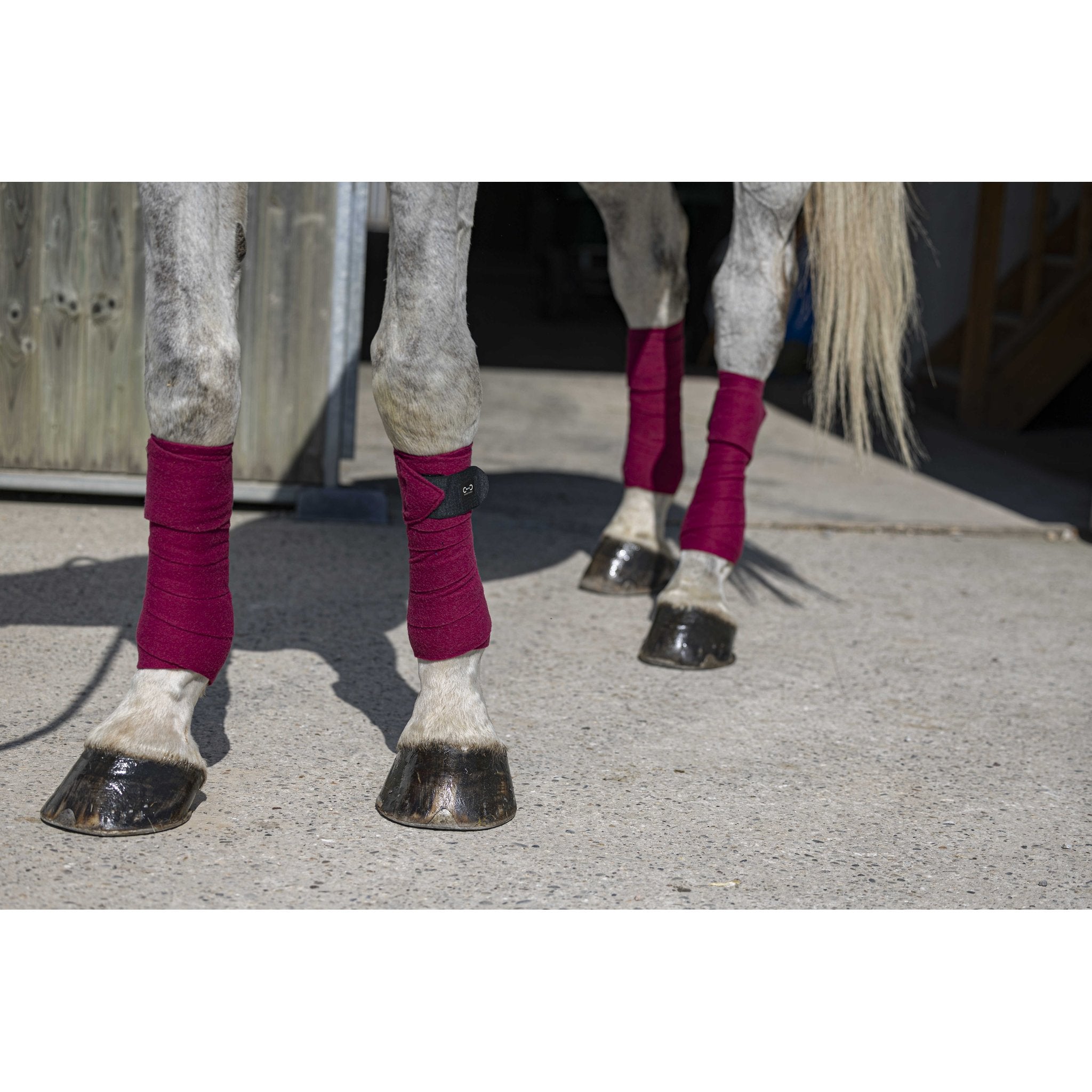 Riding World Eco Benlindor