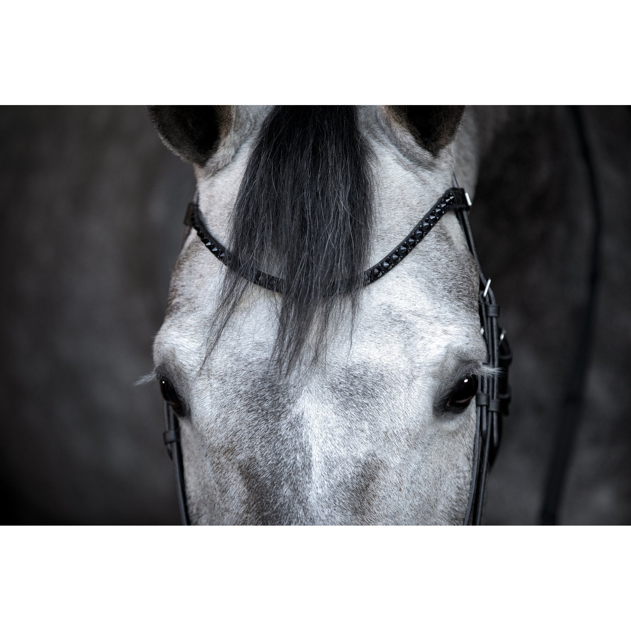 HorseGuard Cryll 24.2 träns med hängande nosgrimma
