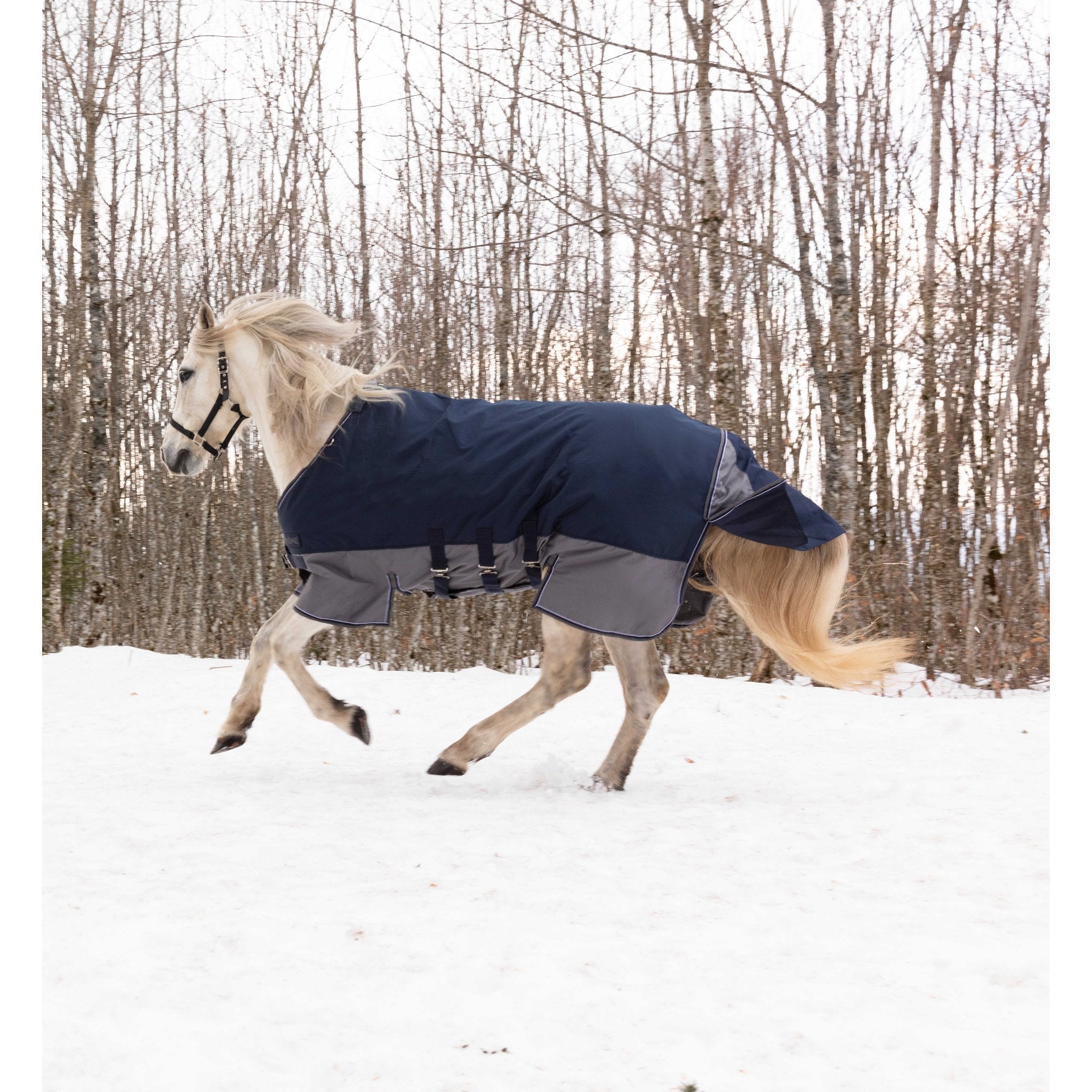 Equithème TYREX 600D Turnout täcke med magskydd 300 g