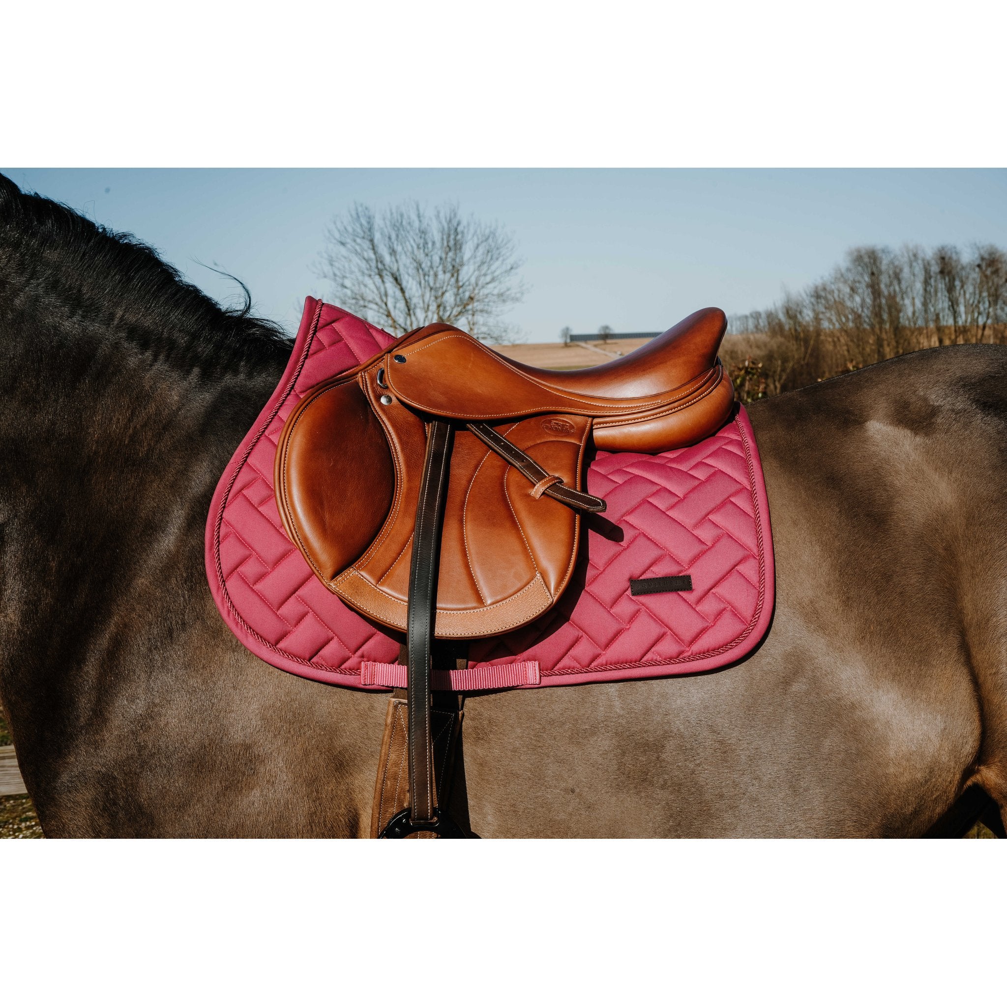 Equitheme Starlet schabrak