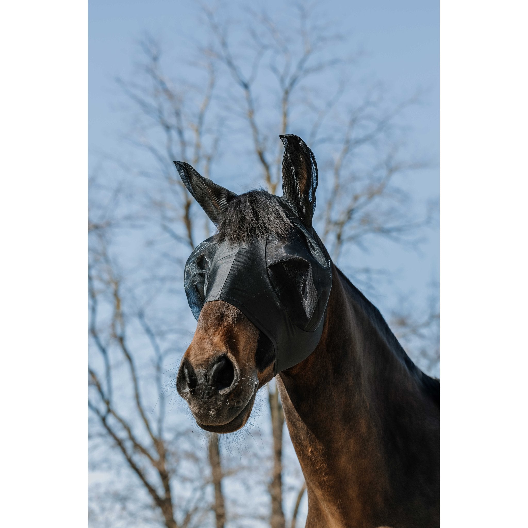 Equithème Lycra Antifly/UV-mask