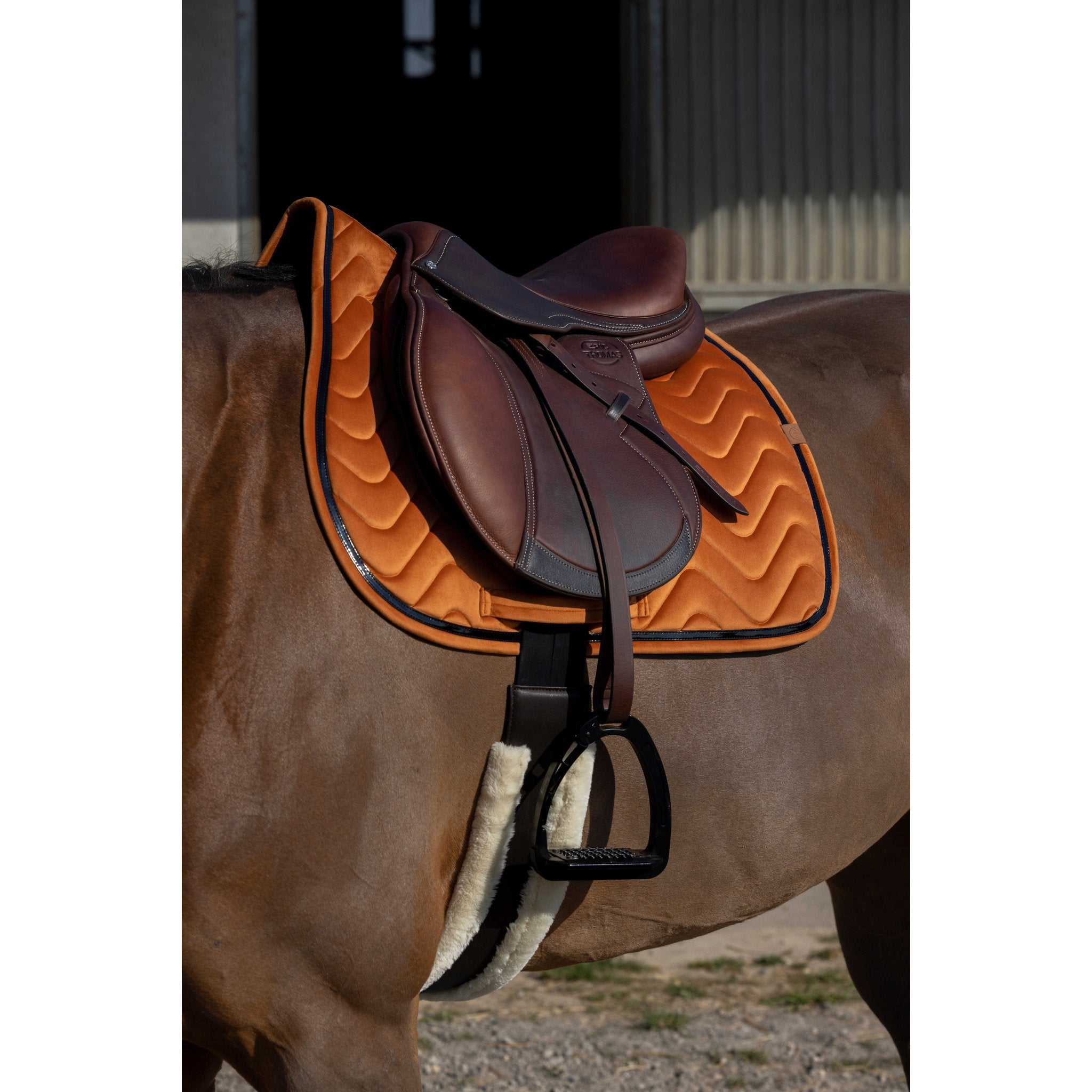 Equithème Glossy Schabrak