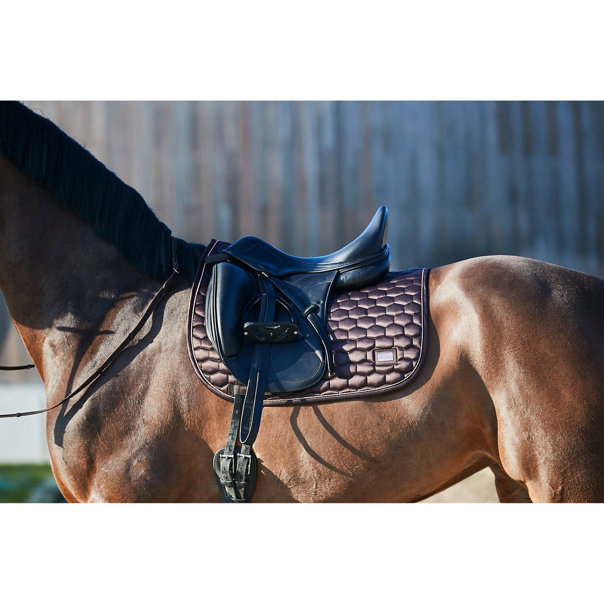 HorseGuard Kora schabrak