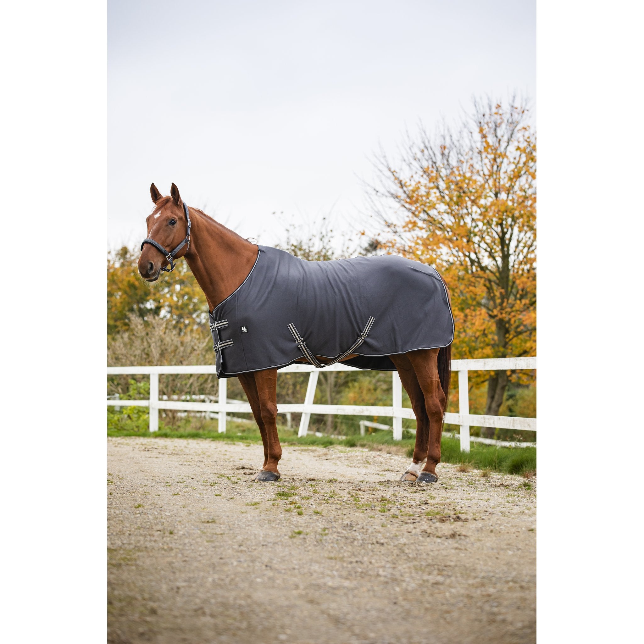 HorseGuard Jersey Cooler täcke