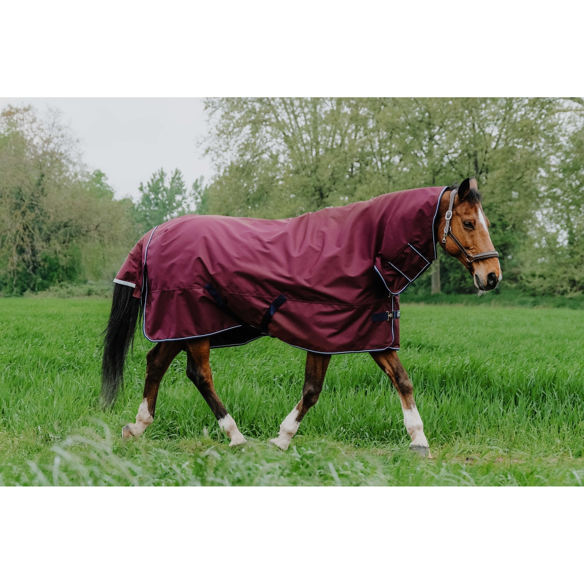 Equithème TYREX 1200D Combo täcke 350 g