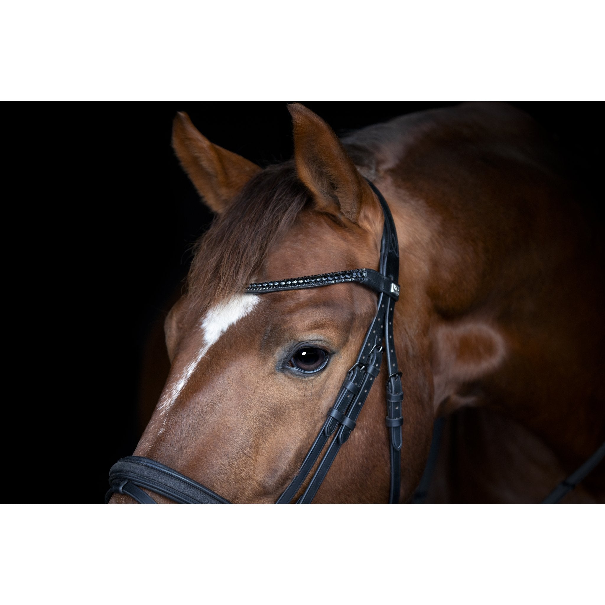 Horse Guard Emi 26.2 träns med kombinerad nosgrimma
