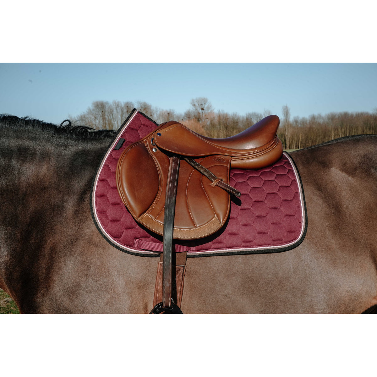 Equitheme Coco schabrak