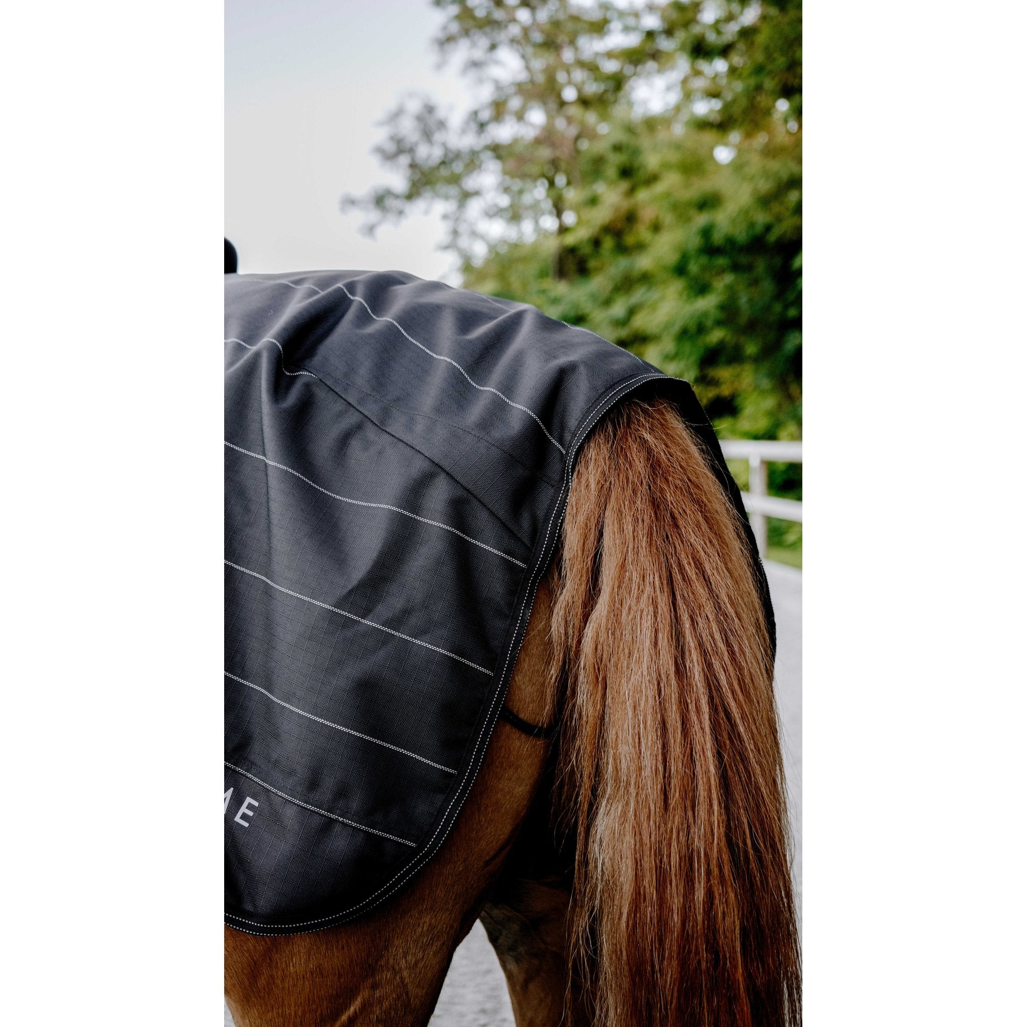 Equitheme TYREX Lumin 600D Skrittäcke
