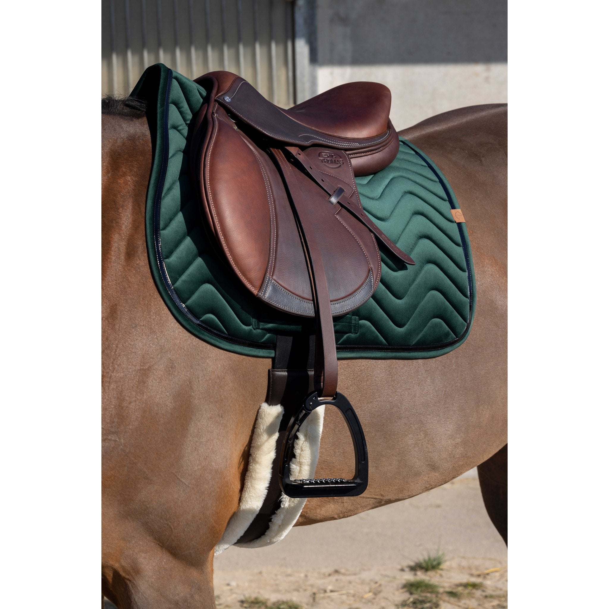 Equithème Glossy Schabrak