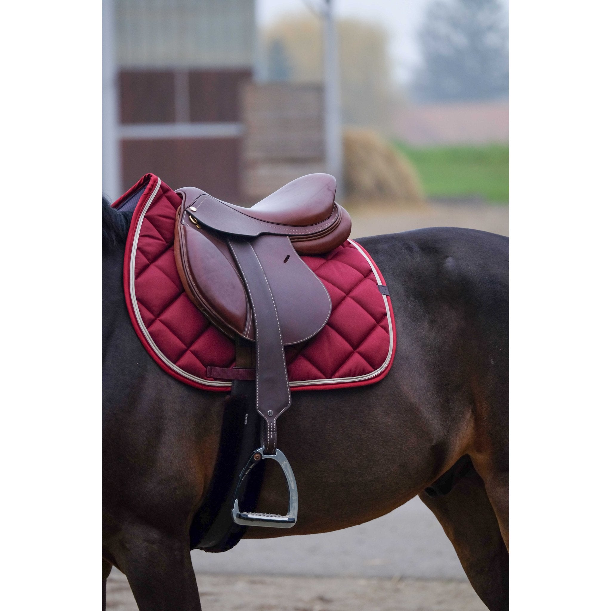 Equithème Classic Schabrak