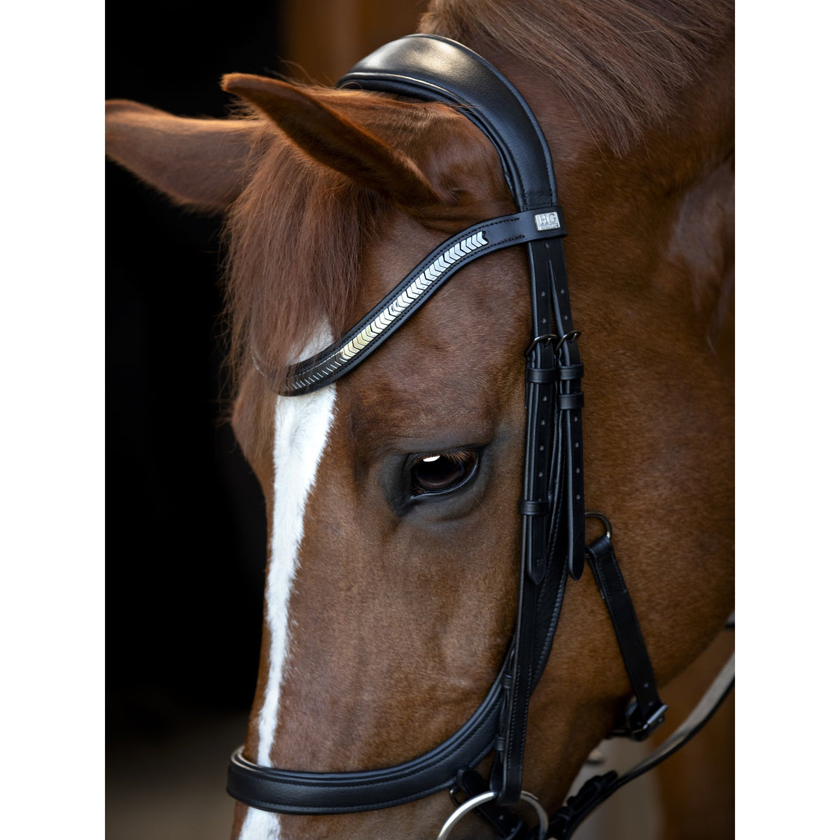 HorseGuard Tine anatomiskt träns