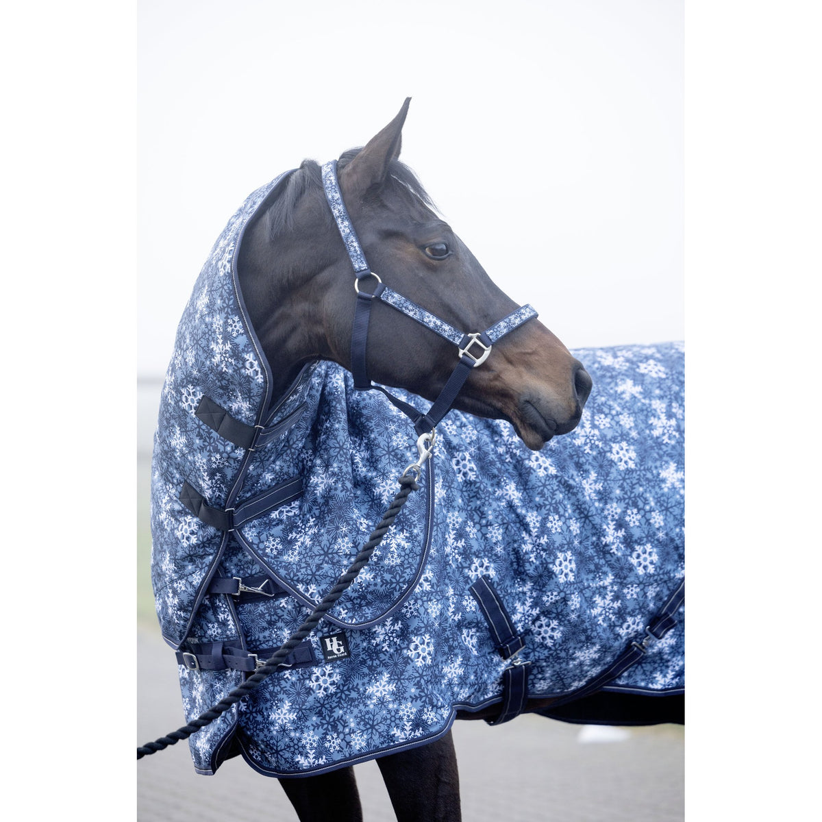 Horse Guard Snowflake-grimma