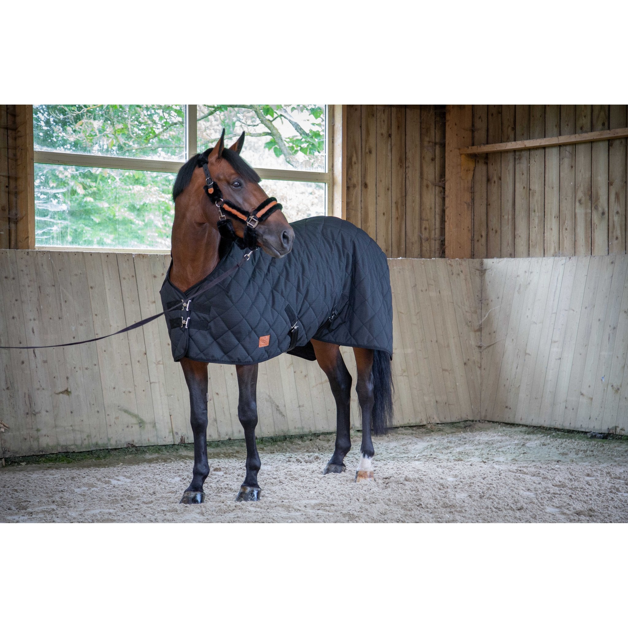PADDOCK Padded stalltäcke