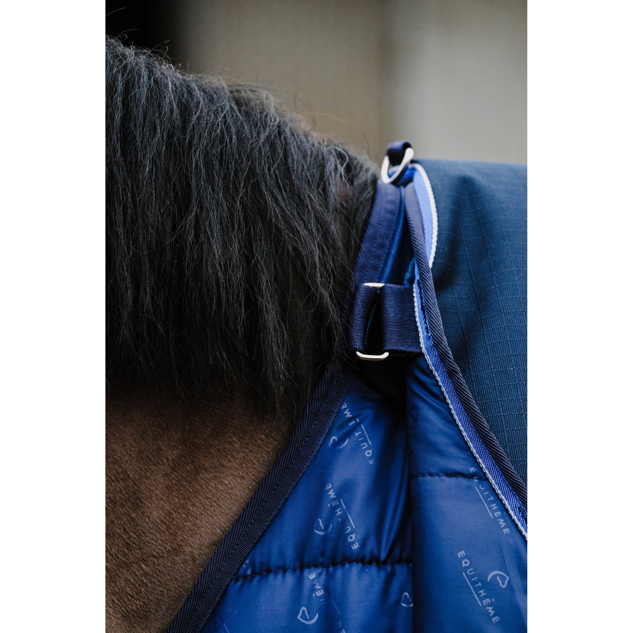 Equithème Classic 1200D Turnout utetäcke 50 g