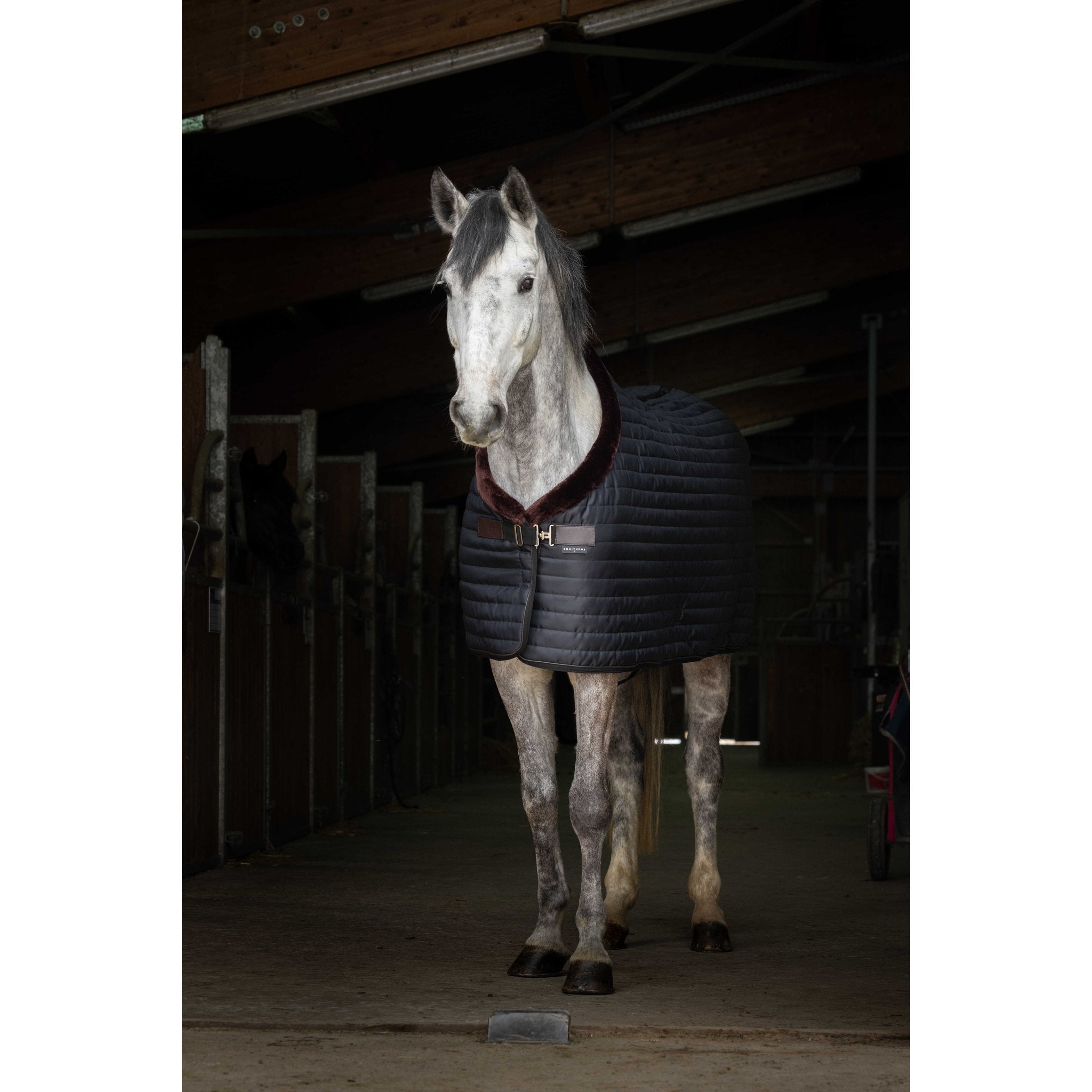 Equithème Stalltäcke med krage 150 g