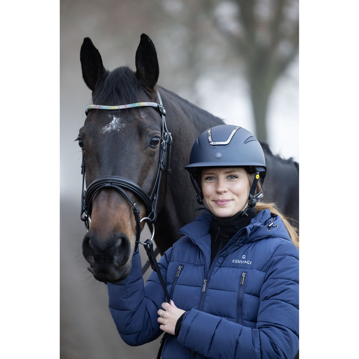Horse Guard Rainbow pannband