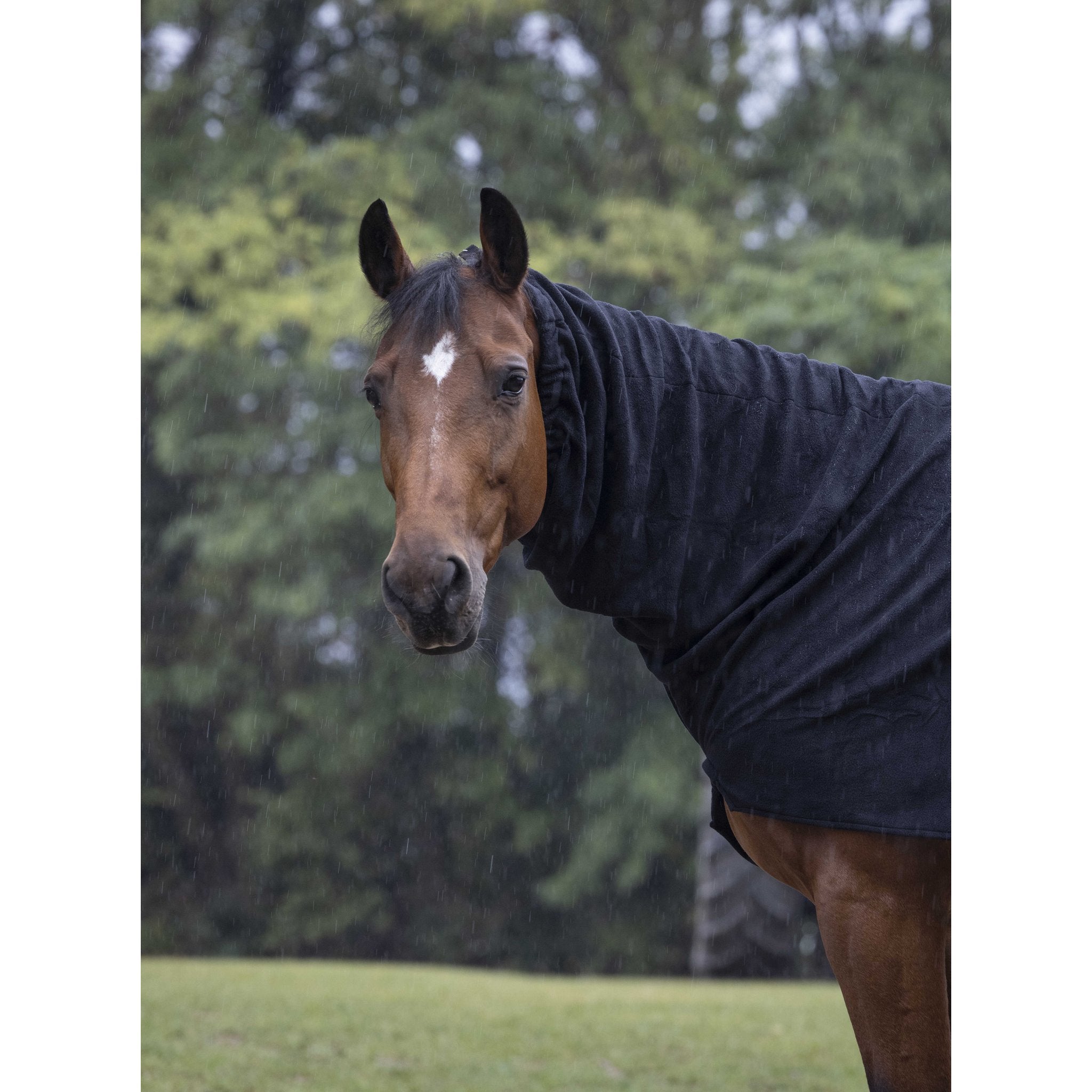 Equithème Polar Fleece halstäcke