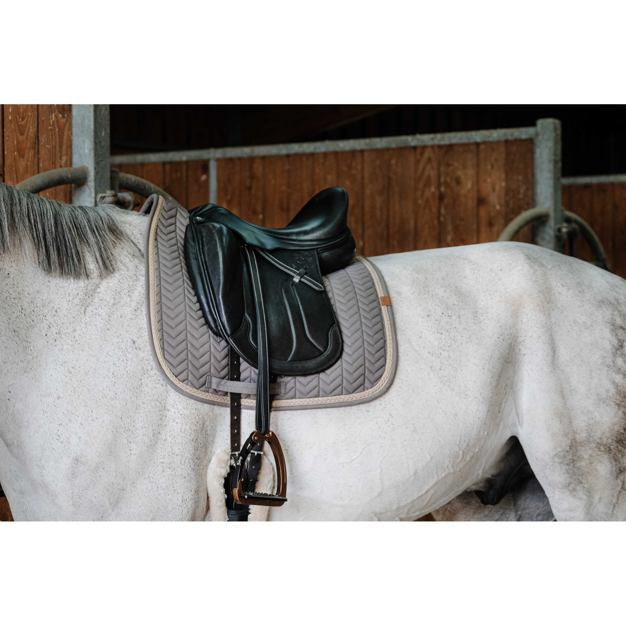 Equithème Softy Schabrak dressyr