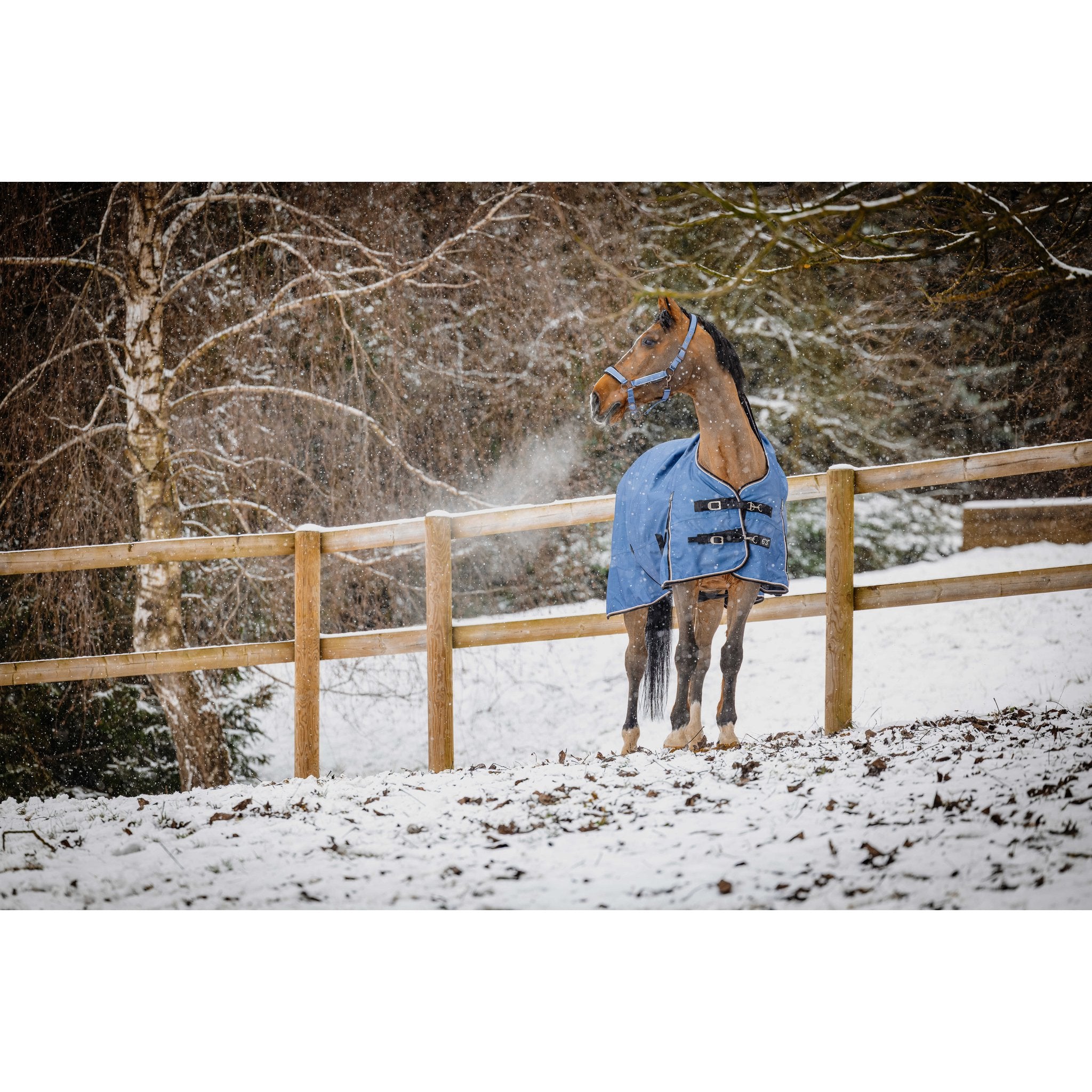Equitheme Cobalt High neck Freedom of movement