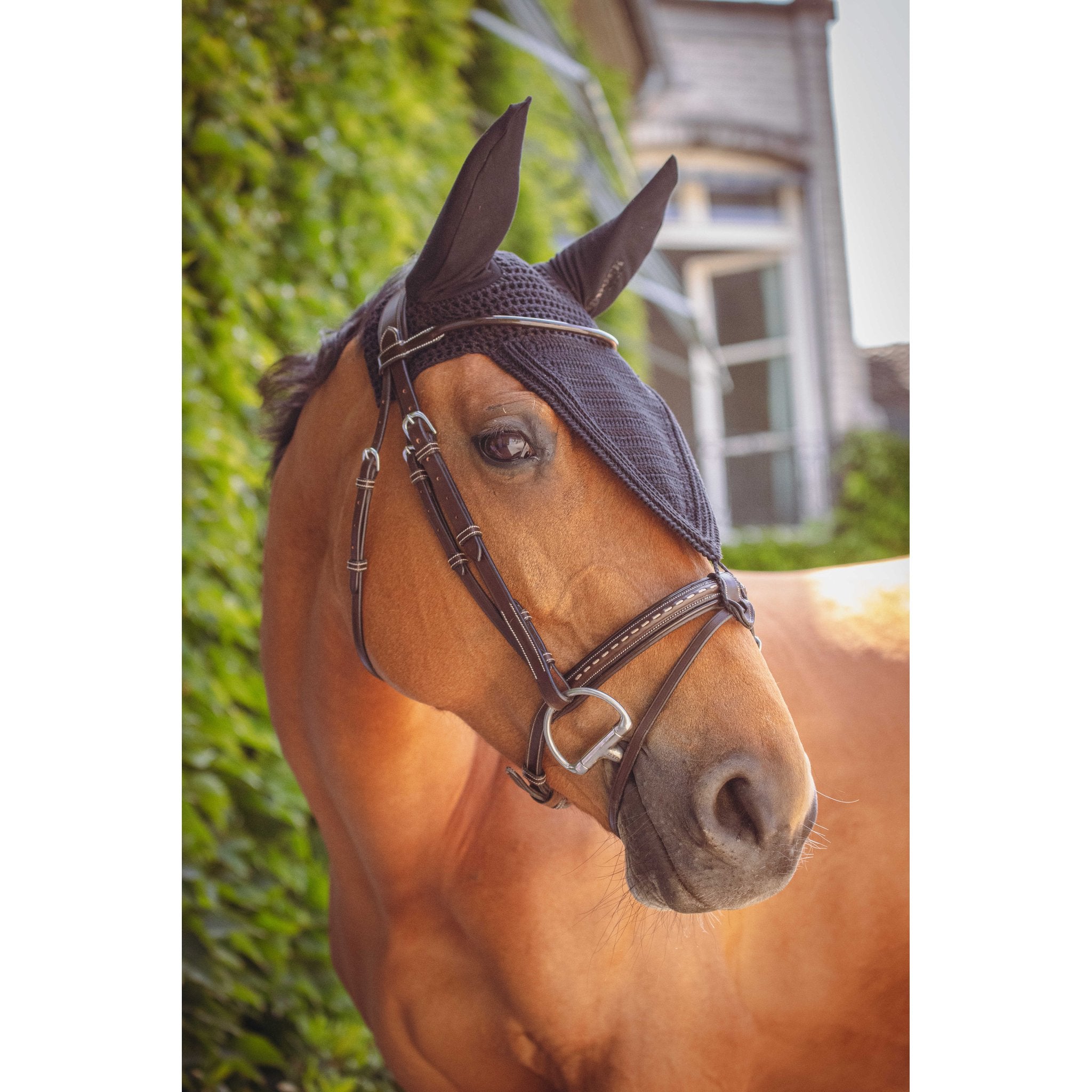 PADDOCK Pro coton luva lång