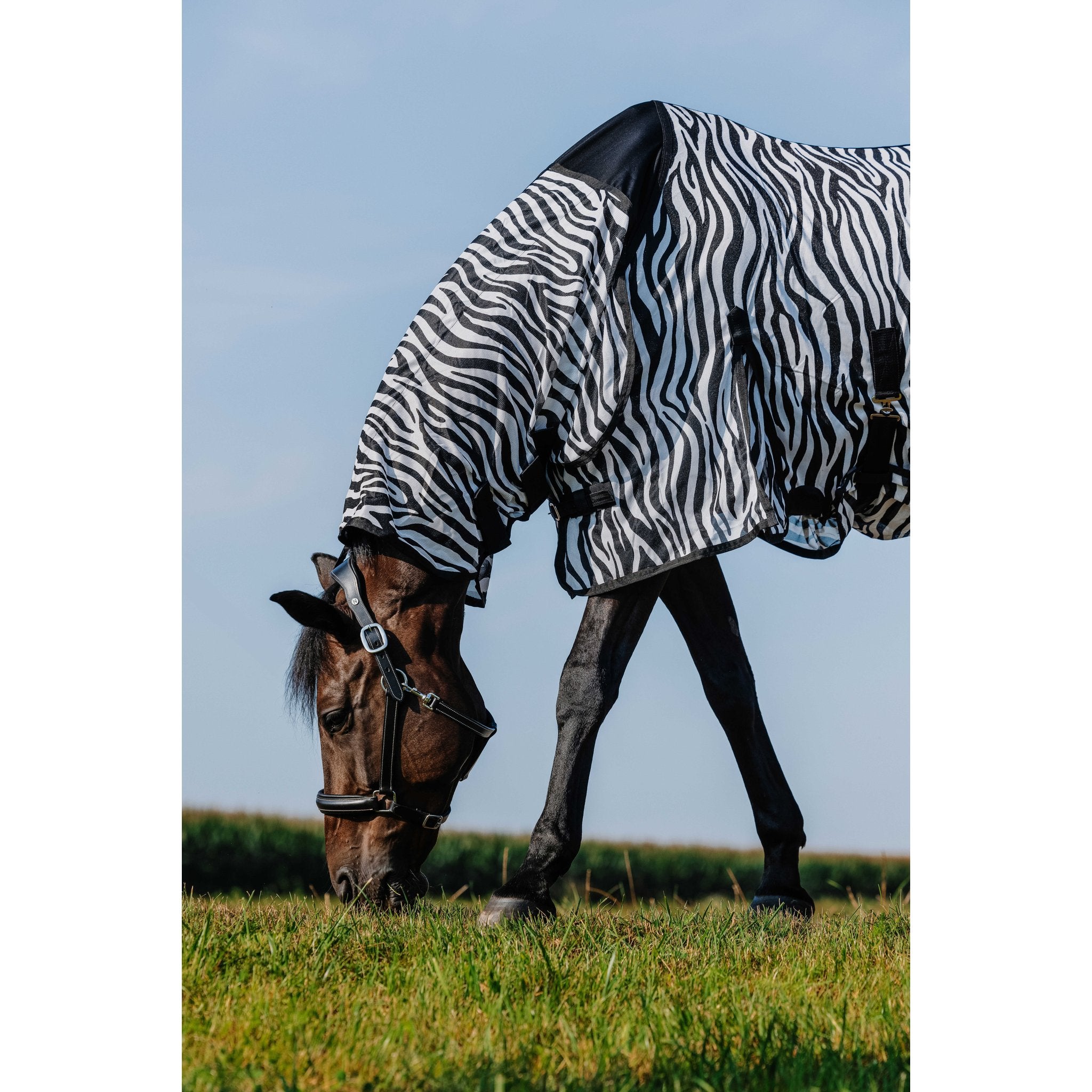 RIDING WORLD Belly Mesh Flugtäcke med hals