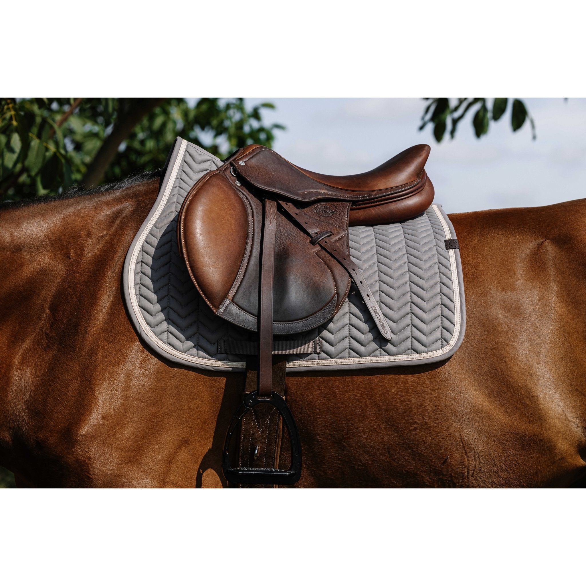 Equitheme Softypop Schabrak