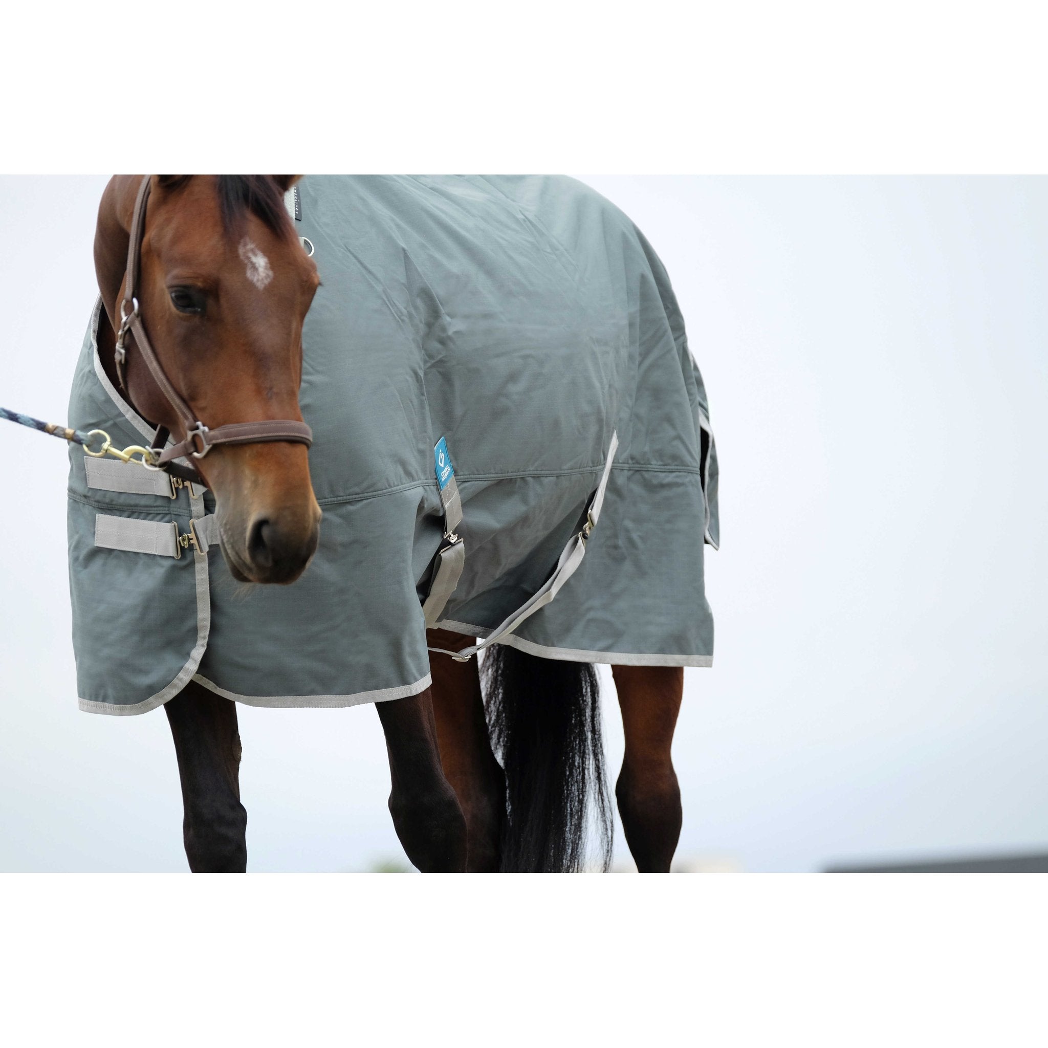 Equithème TYREX 600D återvunnet utetäcke 50 g