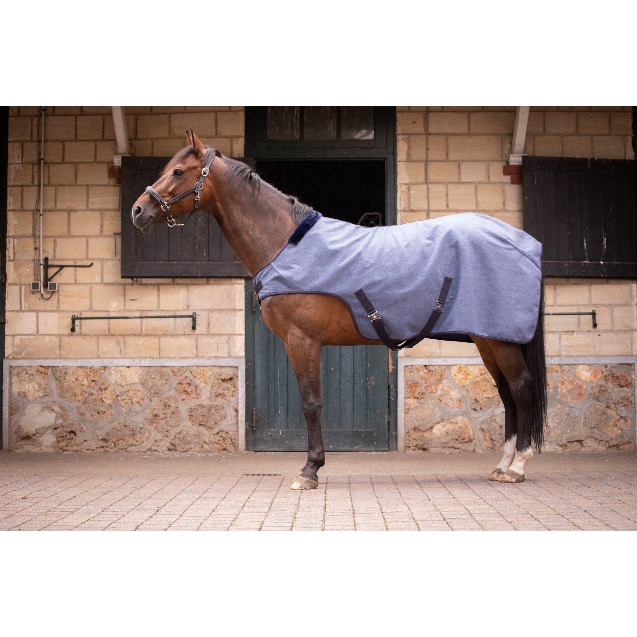 PADDOCK Woolt skrittmaskinstäcke