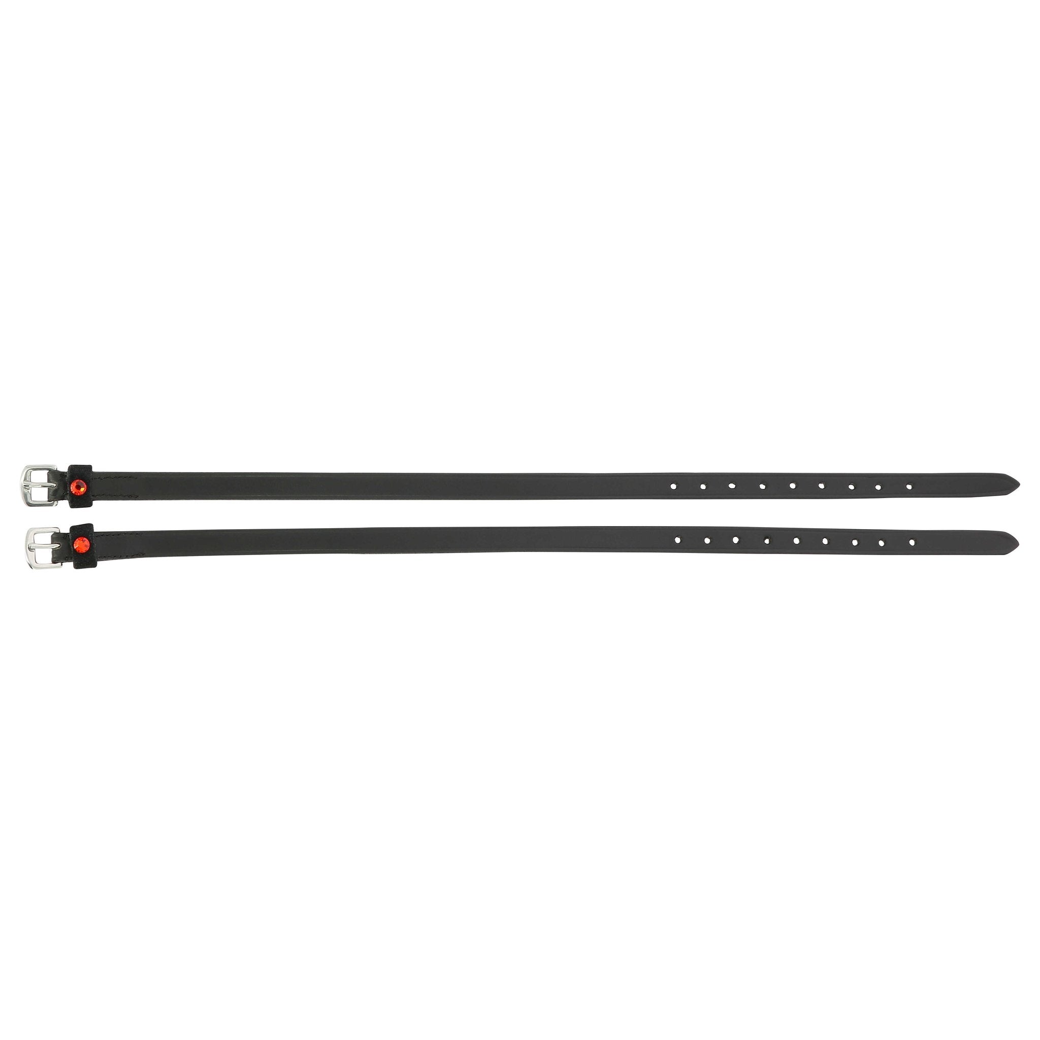 Norton Solitaire sporremmar