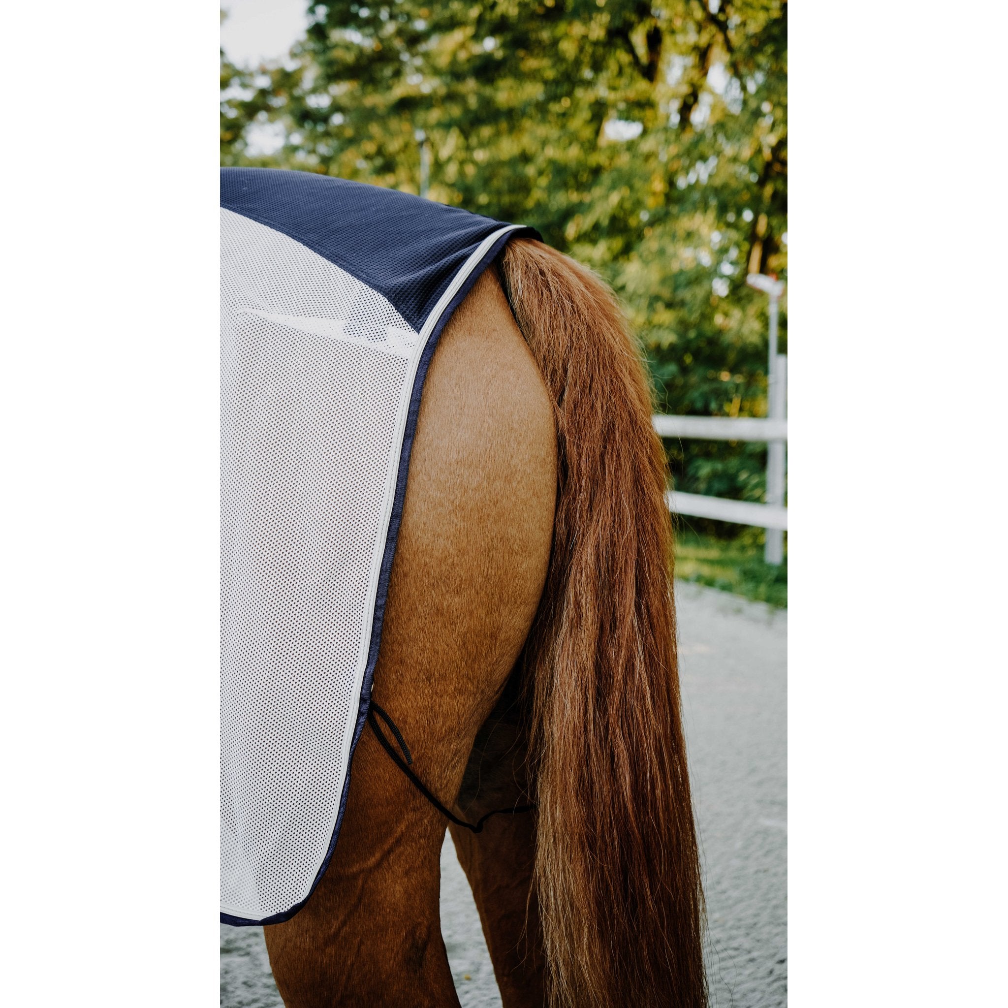 Equitheme EK-Flycool ländtäcke