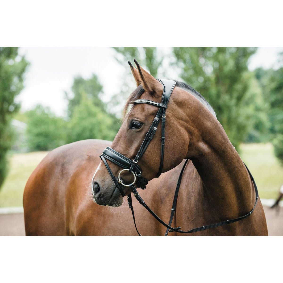 HorseGuard Ergo träns m/tbk