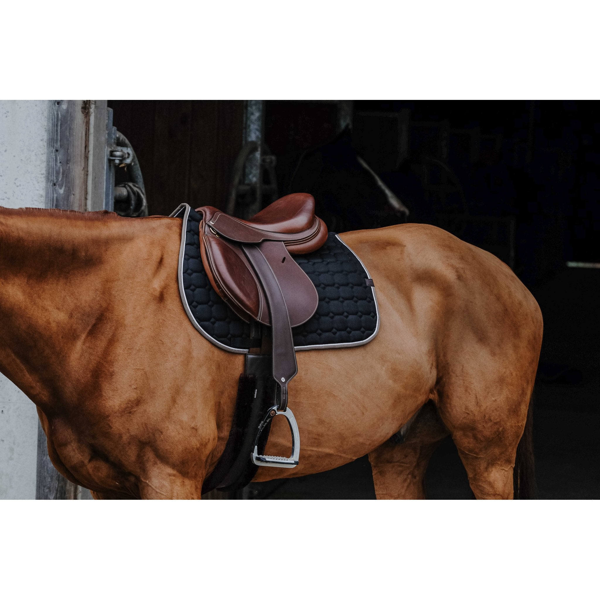 Equithème Orion Schabrak