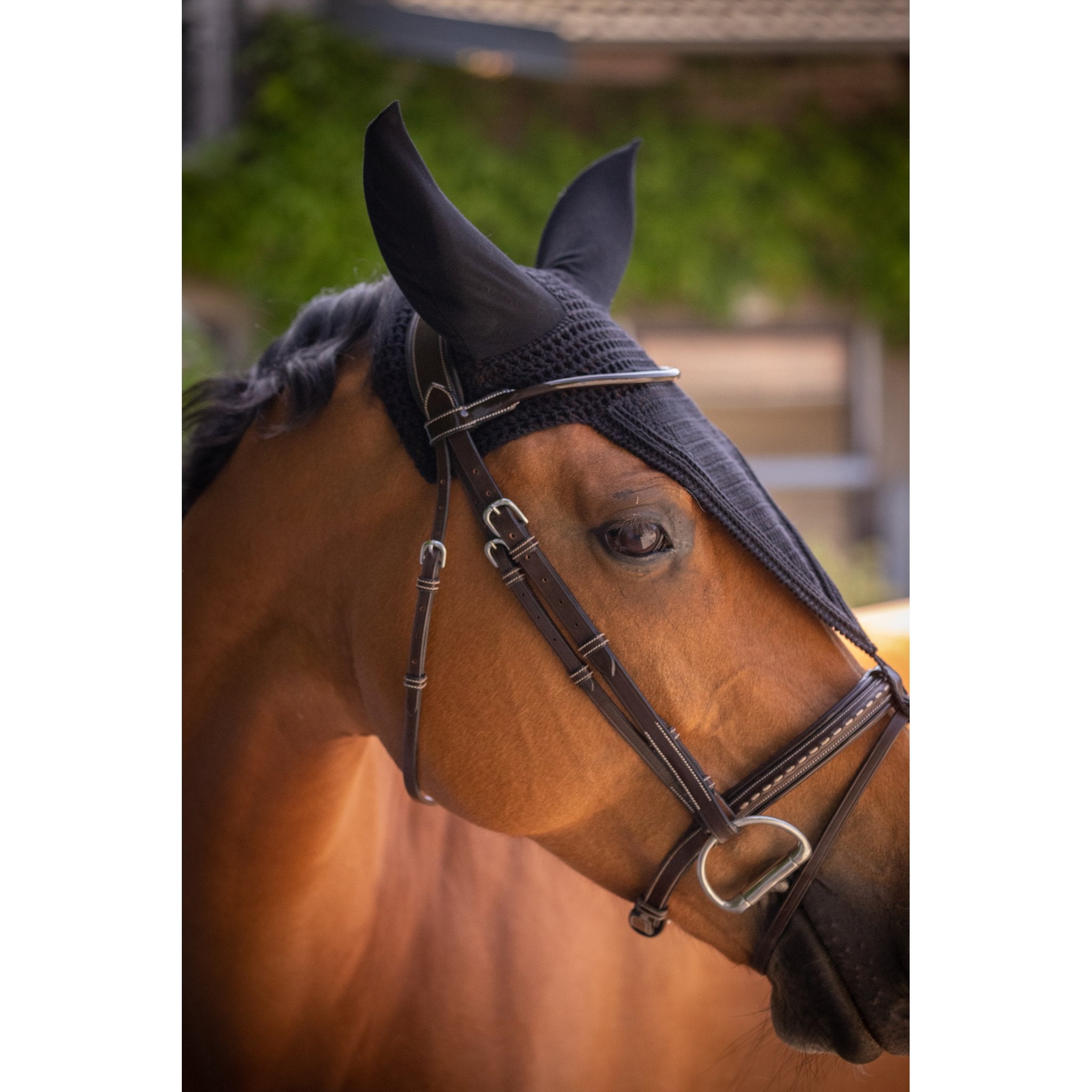 PADDOCK Pro coton luva lång