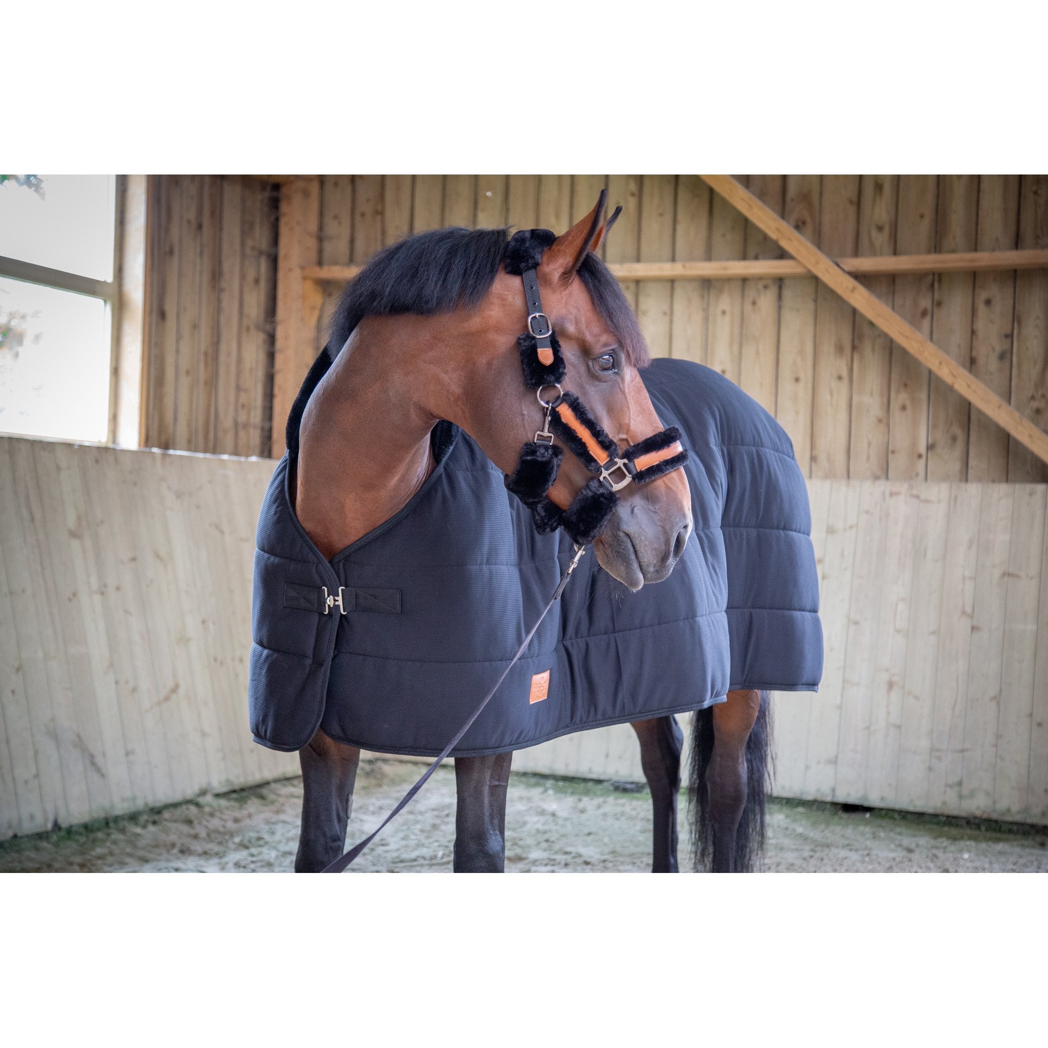 PADDOCK undertäcke 200 g