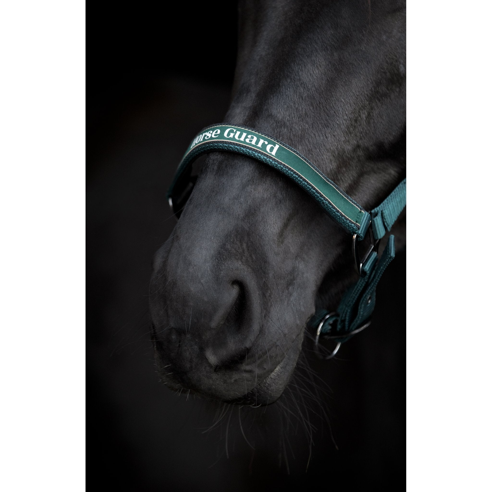 HorseGuard Sandra grimma