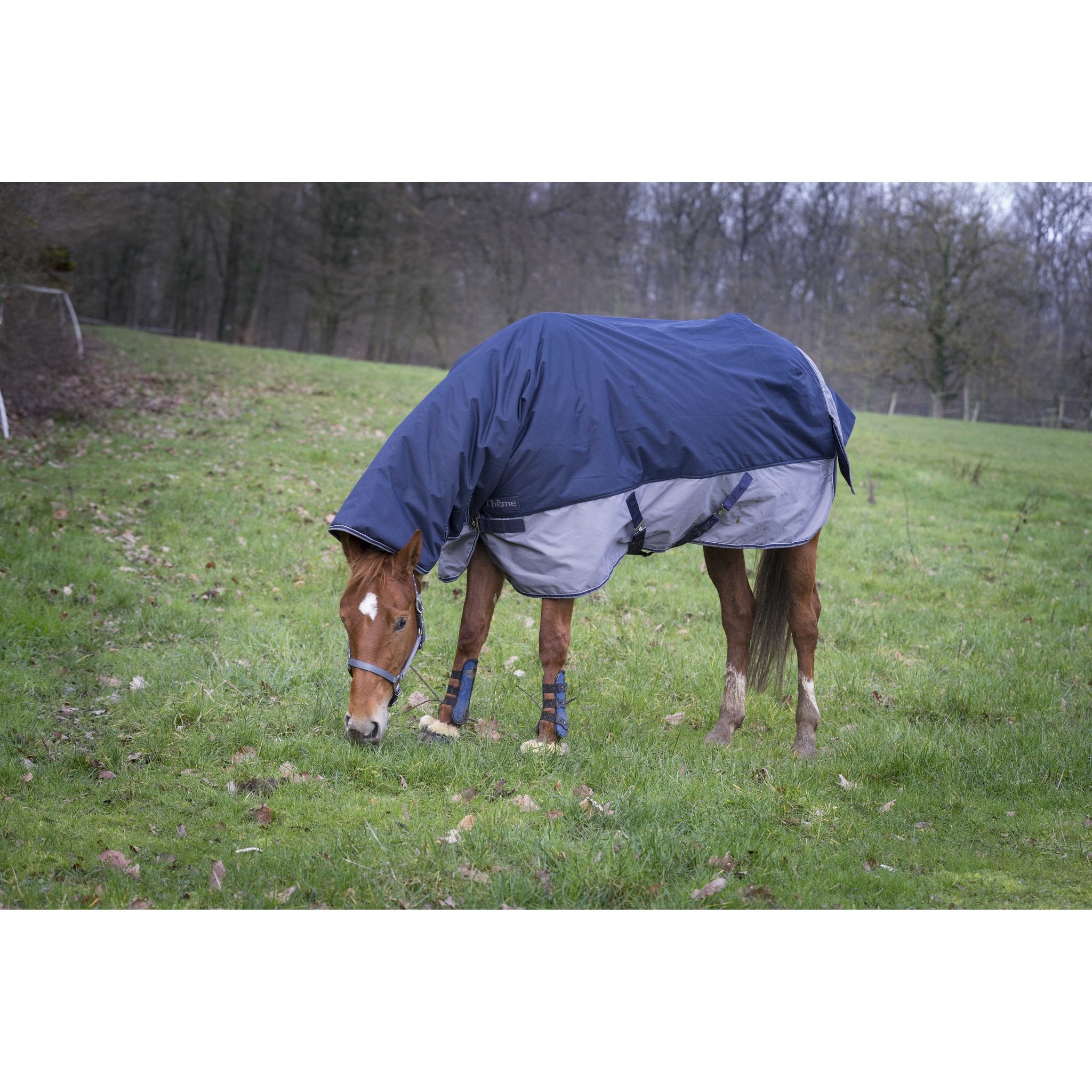 Equithème TYREX 600D Combo utetäcke 200 g