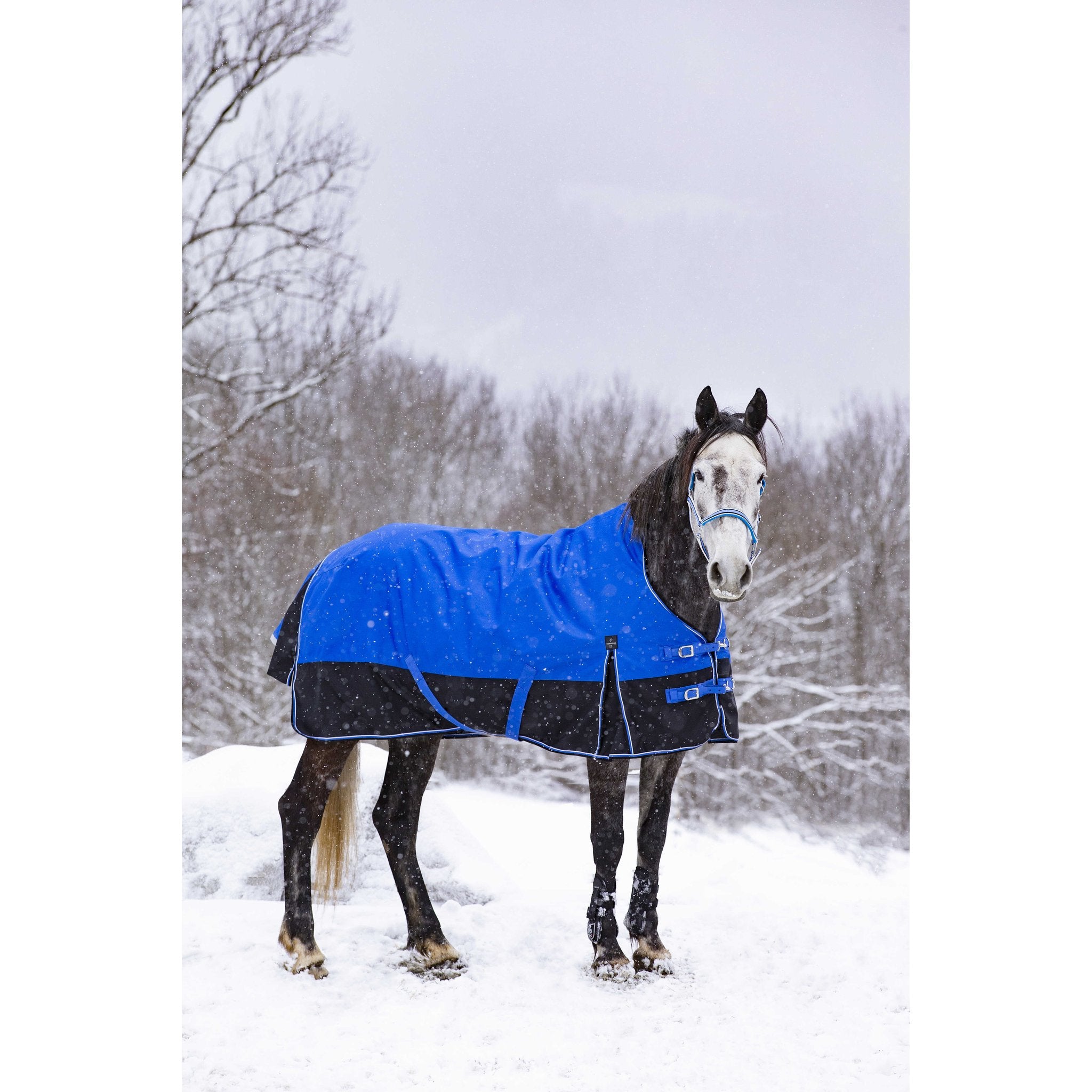 Equithème TYREX Aisance 1200D hög hals täcke 300 g
