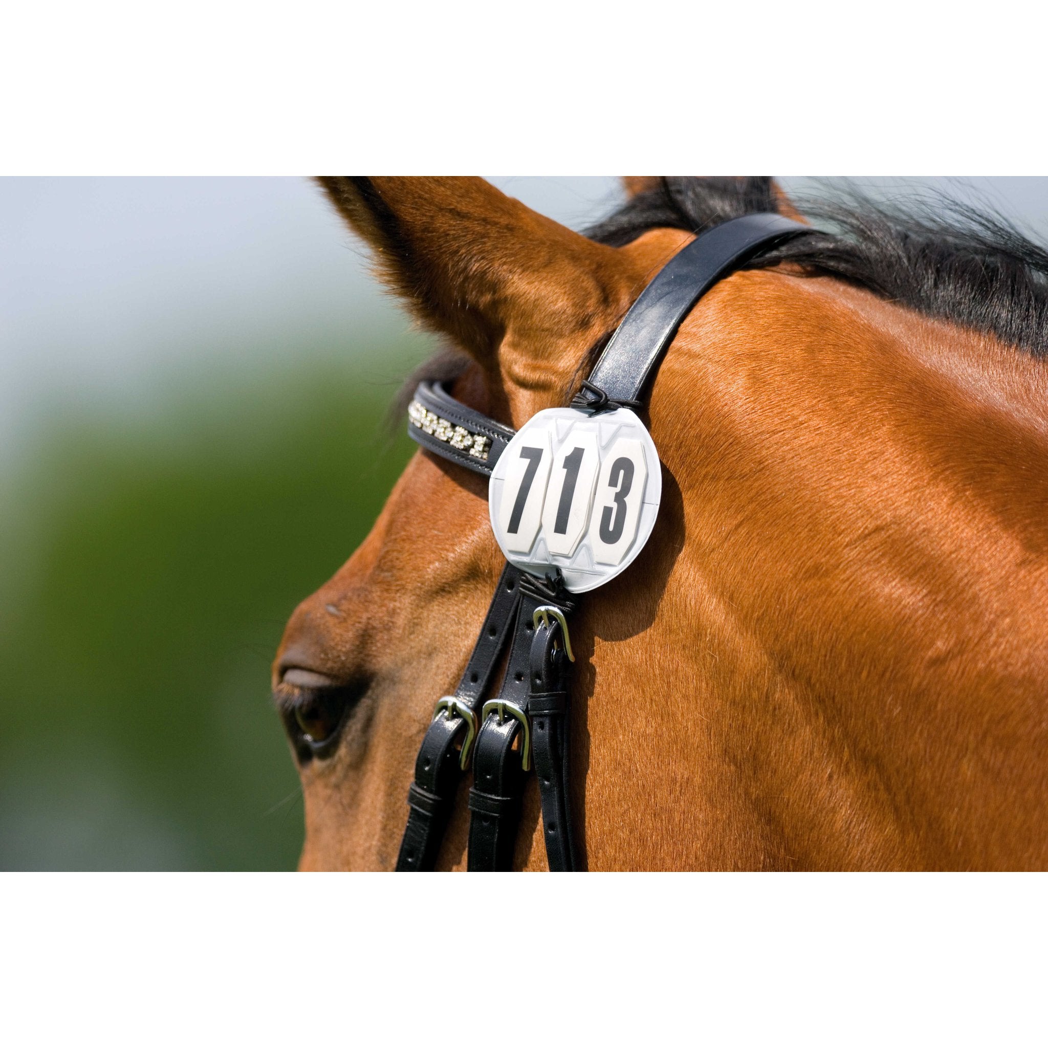 Equithème Nummerlapp rund